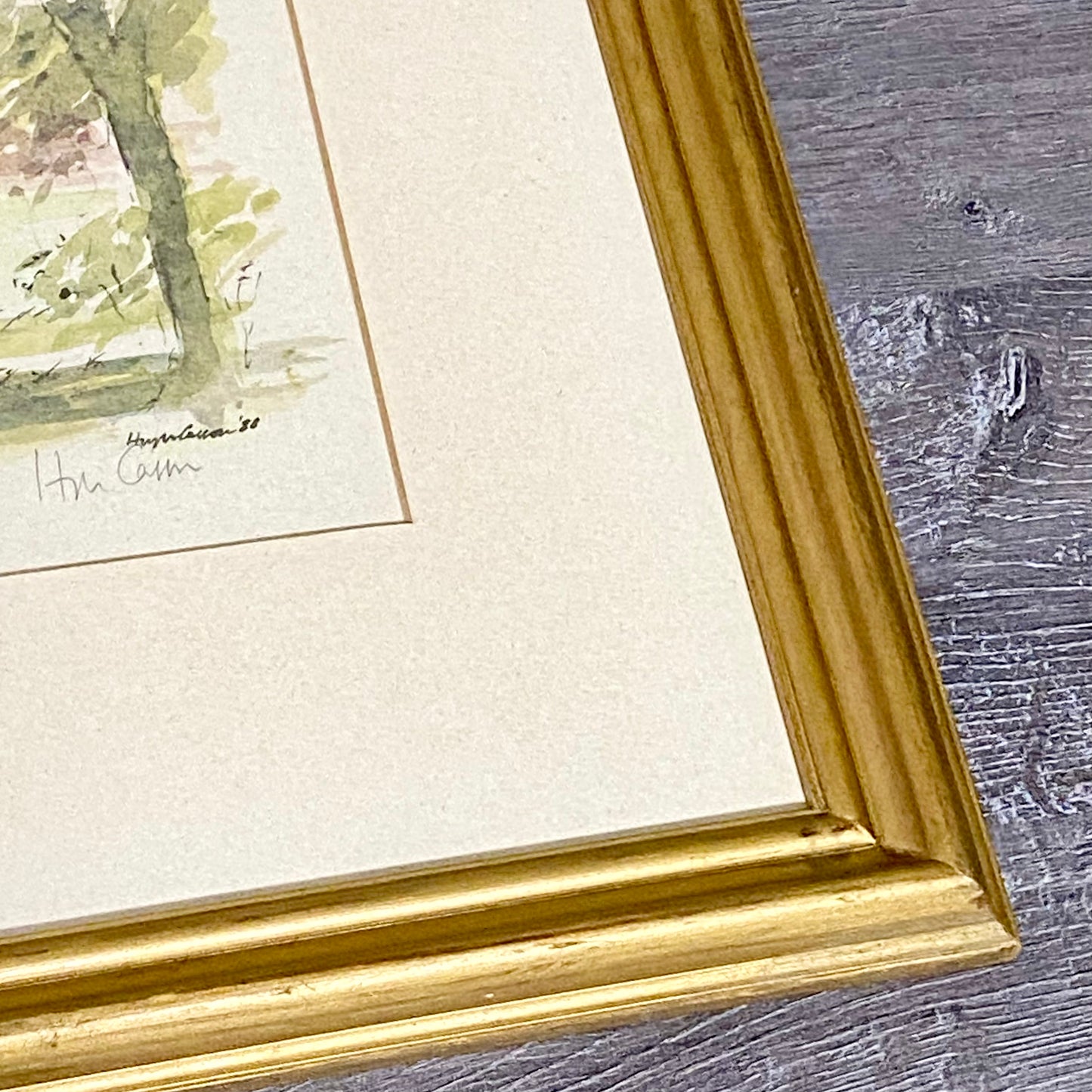 Vintage Hugh Casson Eton College College Field Signed Limited Edition Print 1988