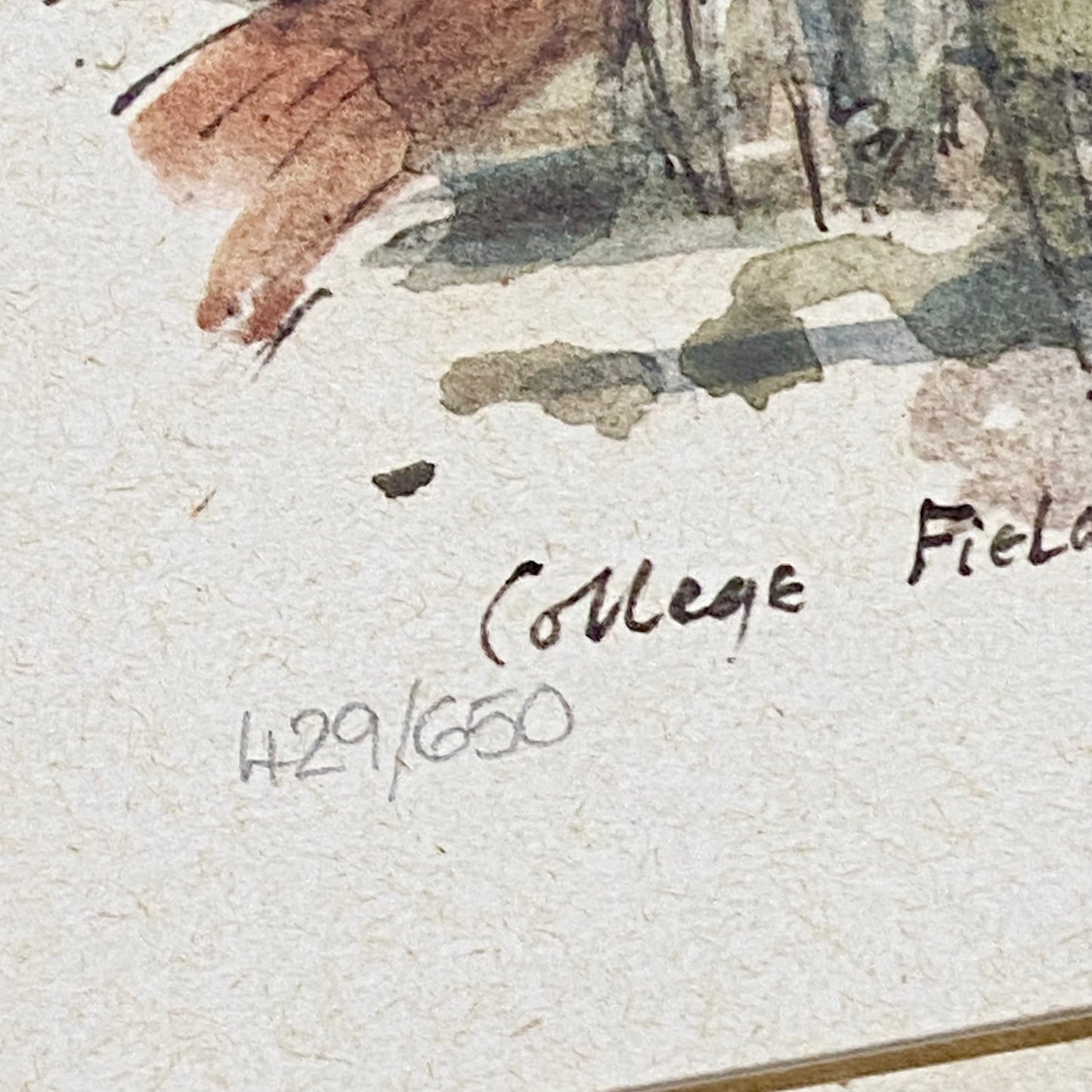 Vintage Hugh Casson Eton College College Field Signed Limited Edition Print 1988