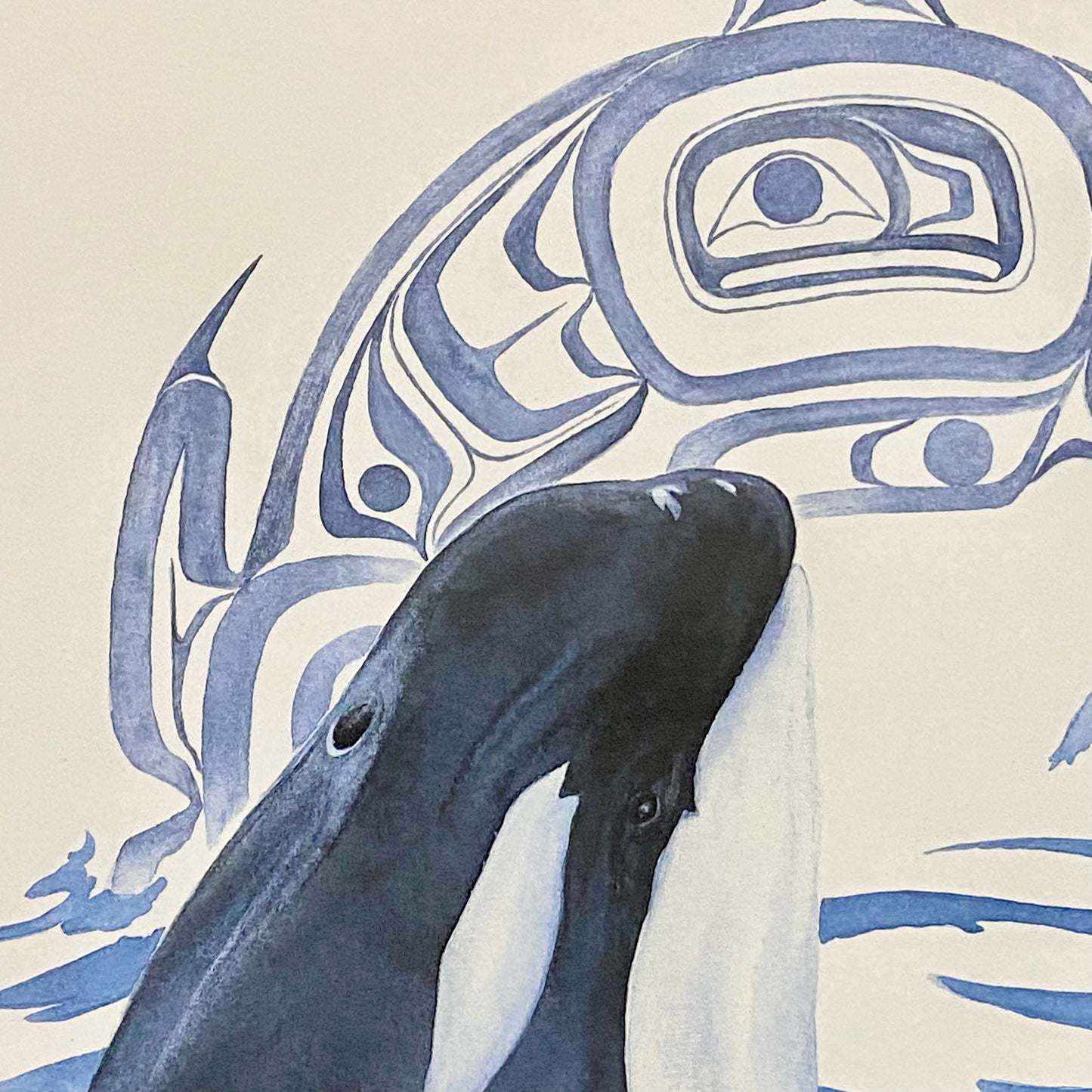 Vintage The Orca Killer Whale Watercolour Art Print Signed Sue Coleman Framed