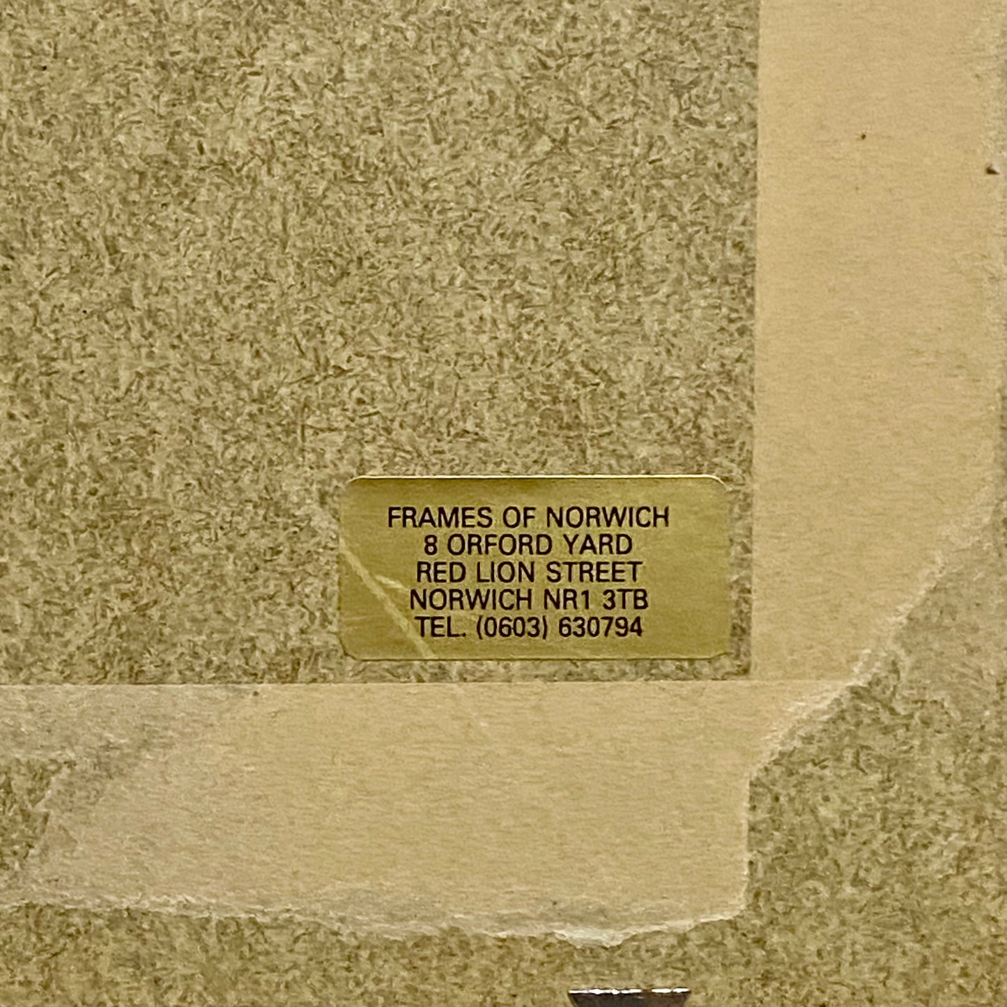 Vintage The Orca Killer Whale Watercolour Art Print Signed Sue Coleman Framed