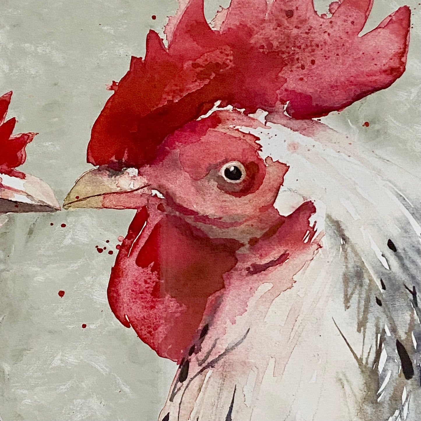 Two Roosters Chick Flick Chickens Watercolour Art Print Signed Olivia Athen