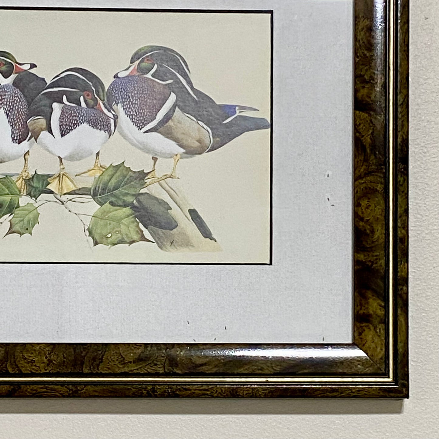 Vintage The Bachelors Ducks Litho Print Plate Signed Art LaMay Framed & Glazed