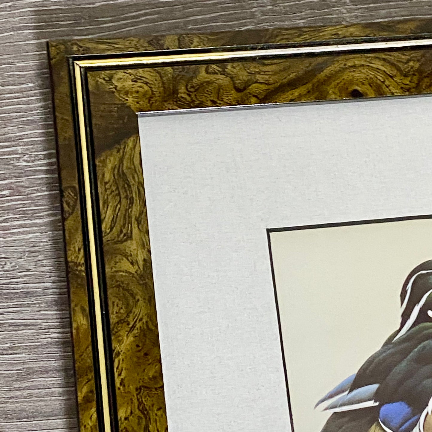 Vintage The Bachelors Ducks Litho Print Plate Signed Art LaMay Framed & Glazed