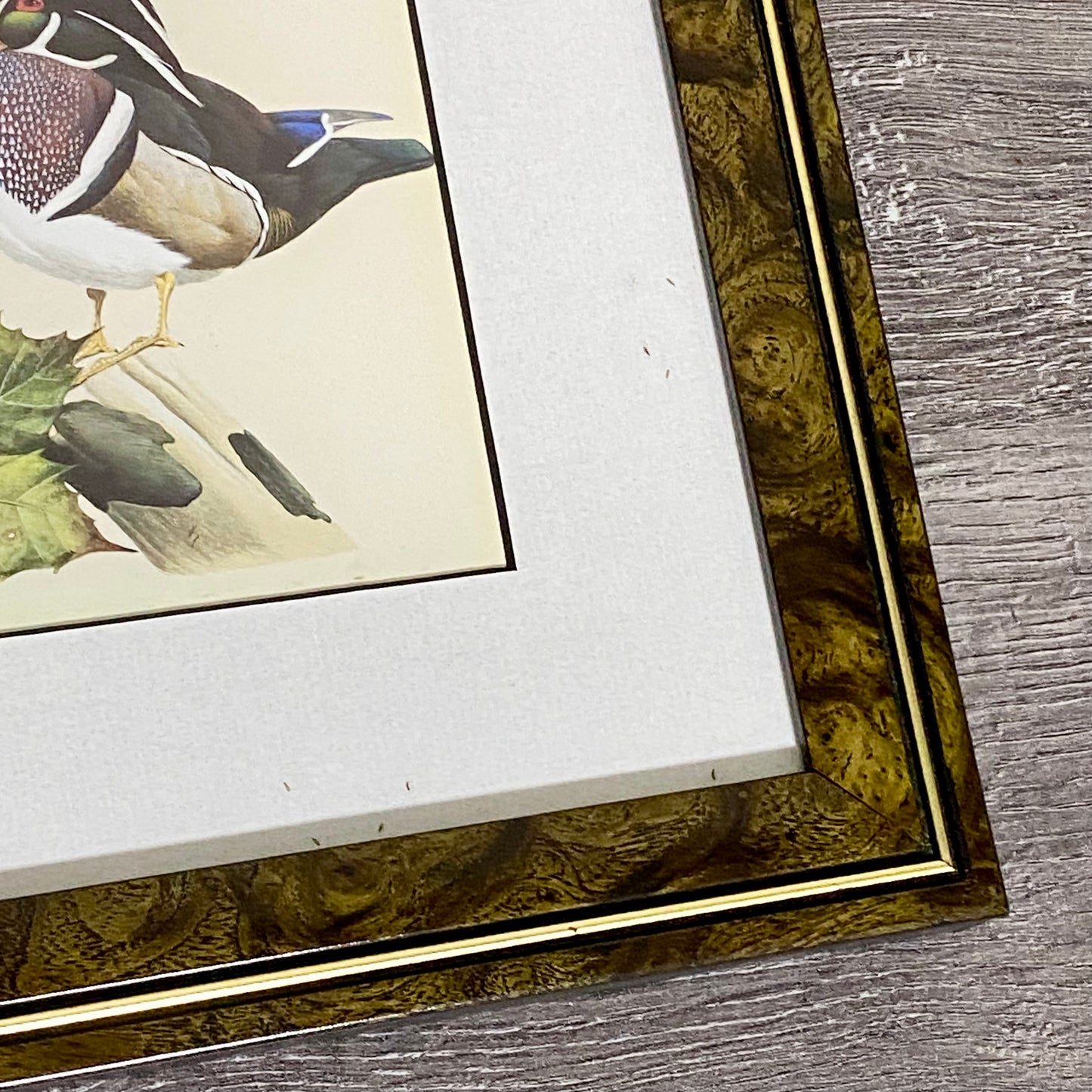 Vintage The Bachelors Ducks Litho Print Plate Signed Art LaMay Framed & Glazed