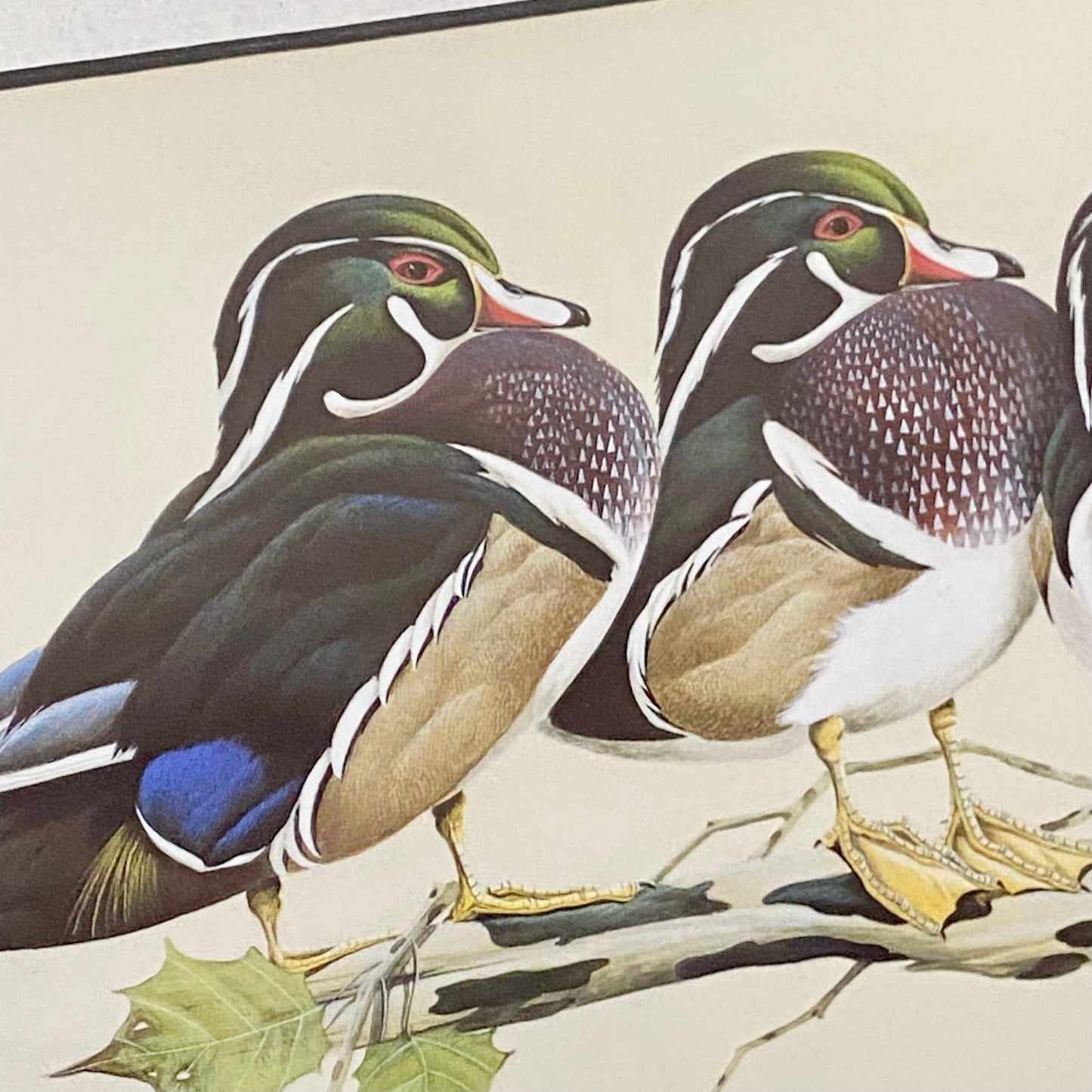 Vintage The Bachelors Ducks Litho Print Plate Signed Art LaMay Framed & Glazed