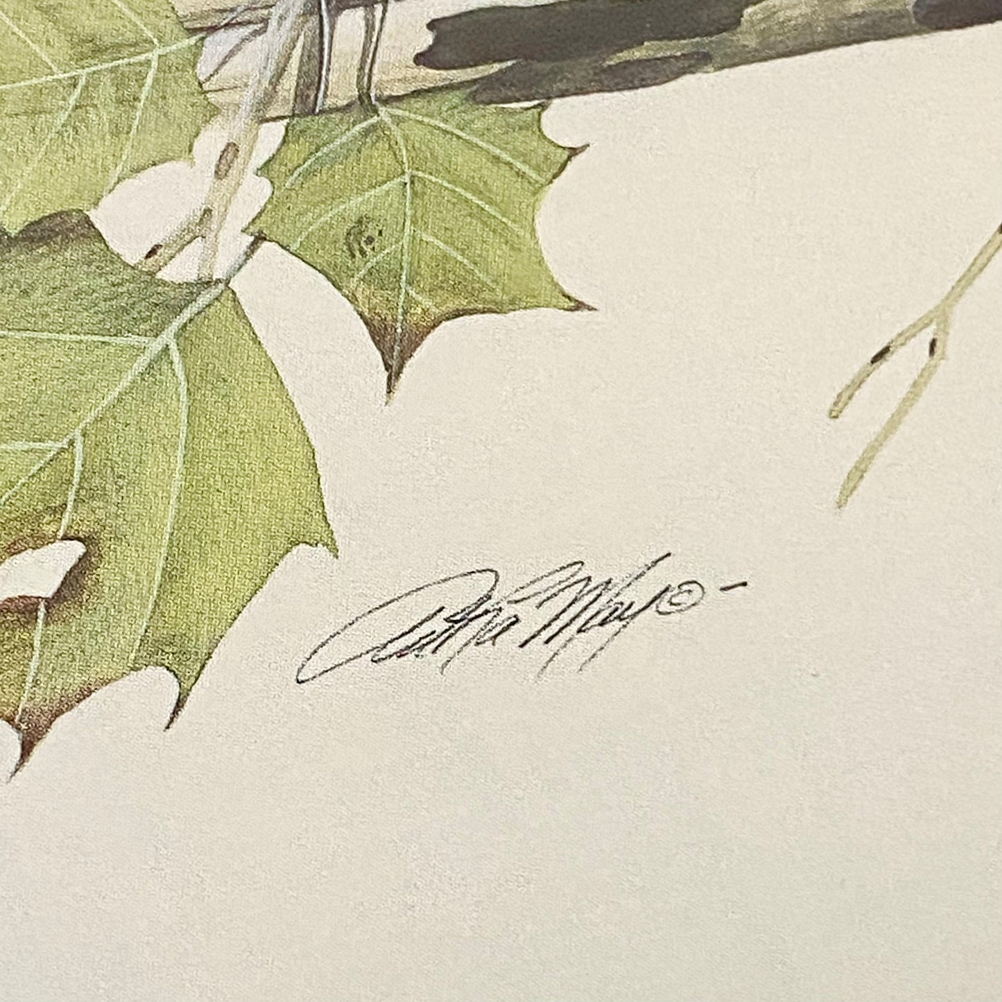 Vintage The Bachelors Ducks Litho Print Plate Signed Art LaMay Framed & Glazed