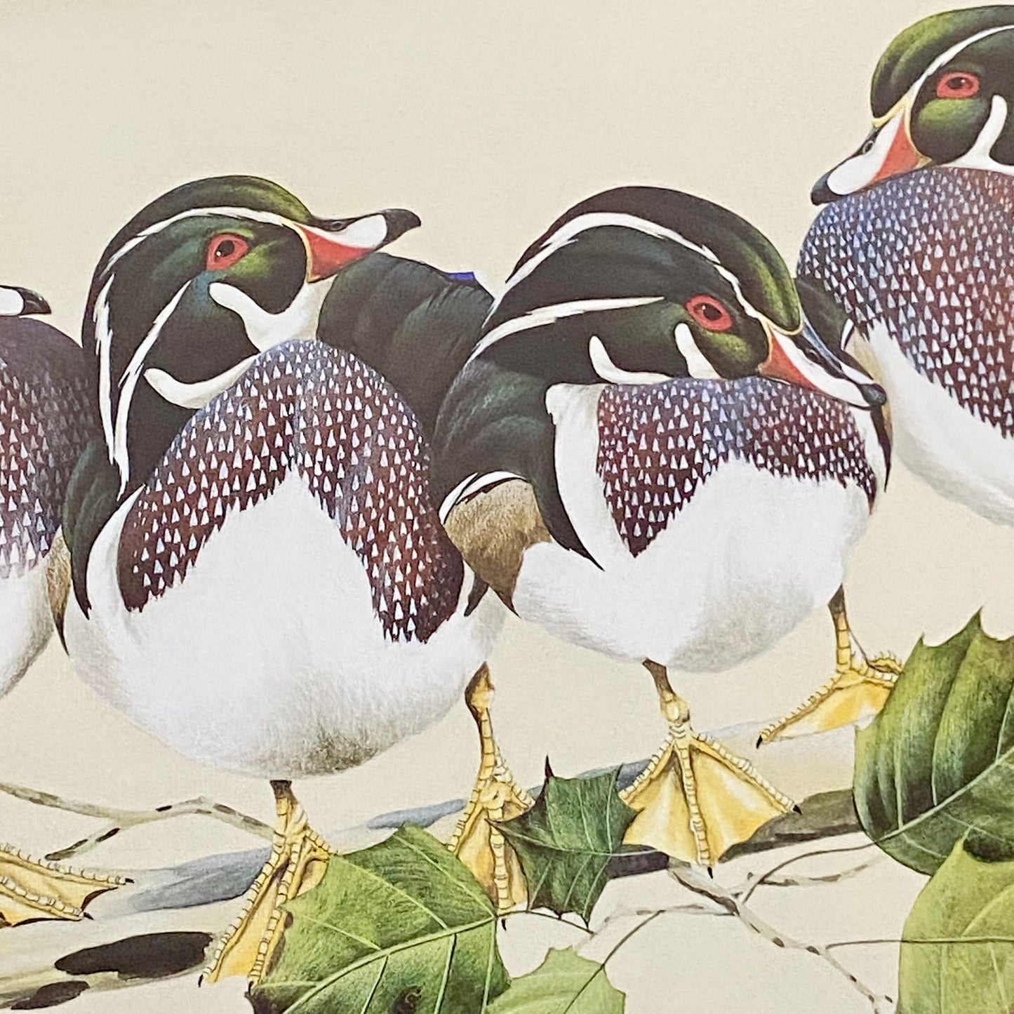 Vintage The Bachelors Ducks Litho Print Plate Signed Art LaMay Framed & Glazed