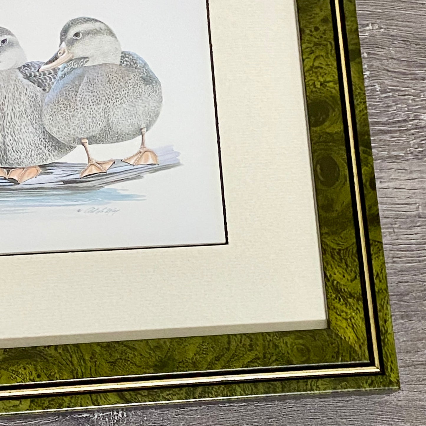 Vintage The Girls Duck Ducks Litho Print Plate Signed Art LaMay Framed & Glazed