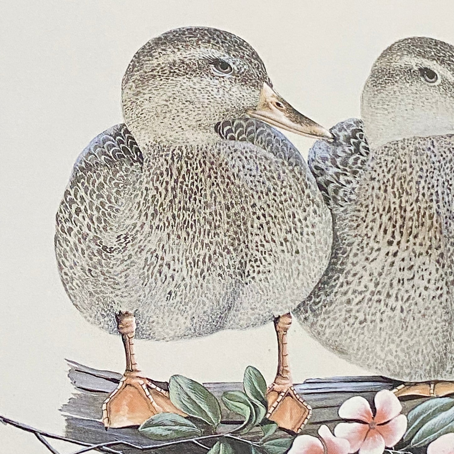 Vintage The Girls Duck Ducks Litho Print Plate Signed Art LaMay Framed & Glazed