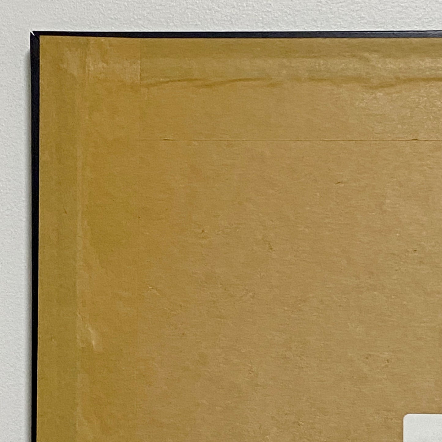 Vintage The Girls Duck Ducks Litho Print Plate Signed Art LaMay Framed & Glazed