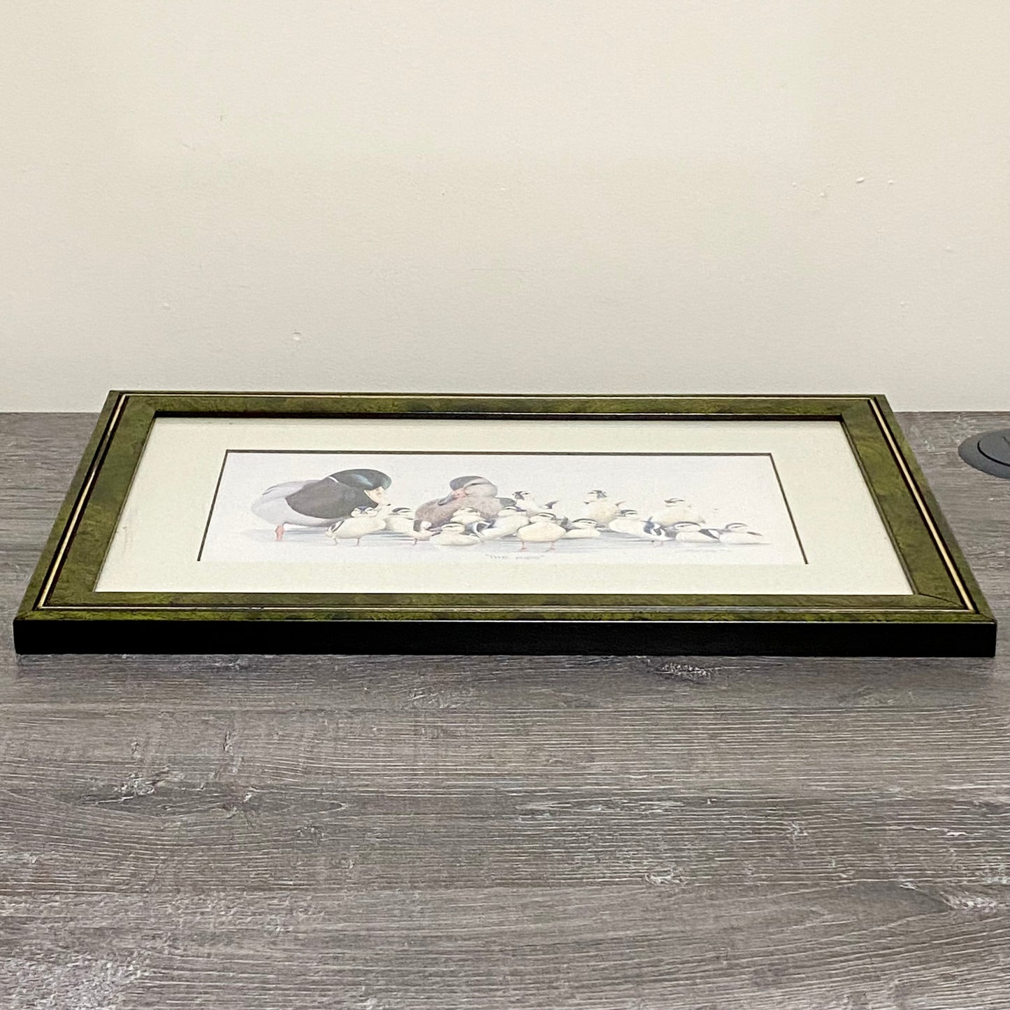Vintage The Kids Duck Ducks Litho Print Plate Signed Art LaMay Framed & Glazed