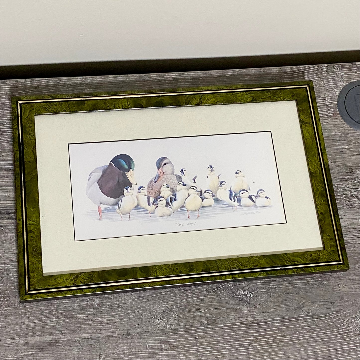 Vintage The Kids Duck Ducks Litho Print Plate Signed Art LaMay Framed & Glazed