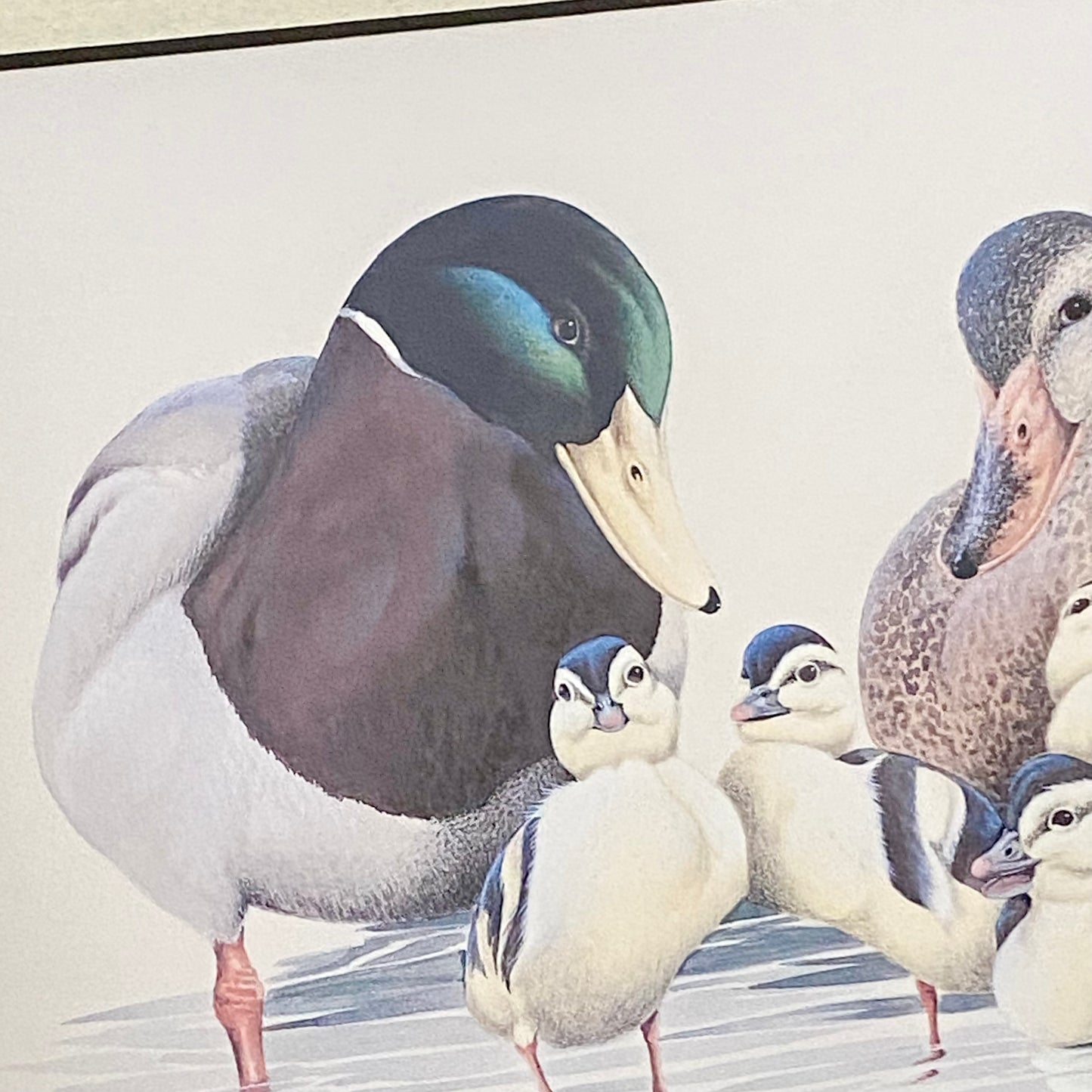 Vintage The Kids Duck Ducks Litho Print Plate Signed Art LaMay Framed & Glazed