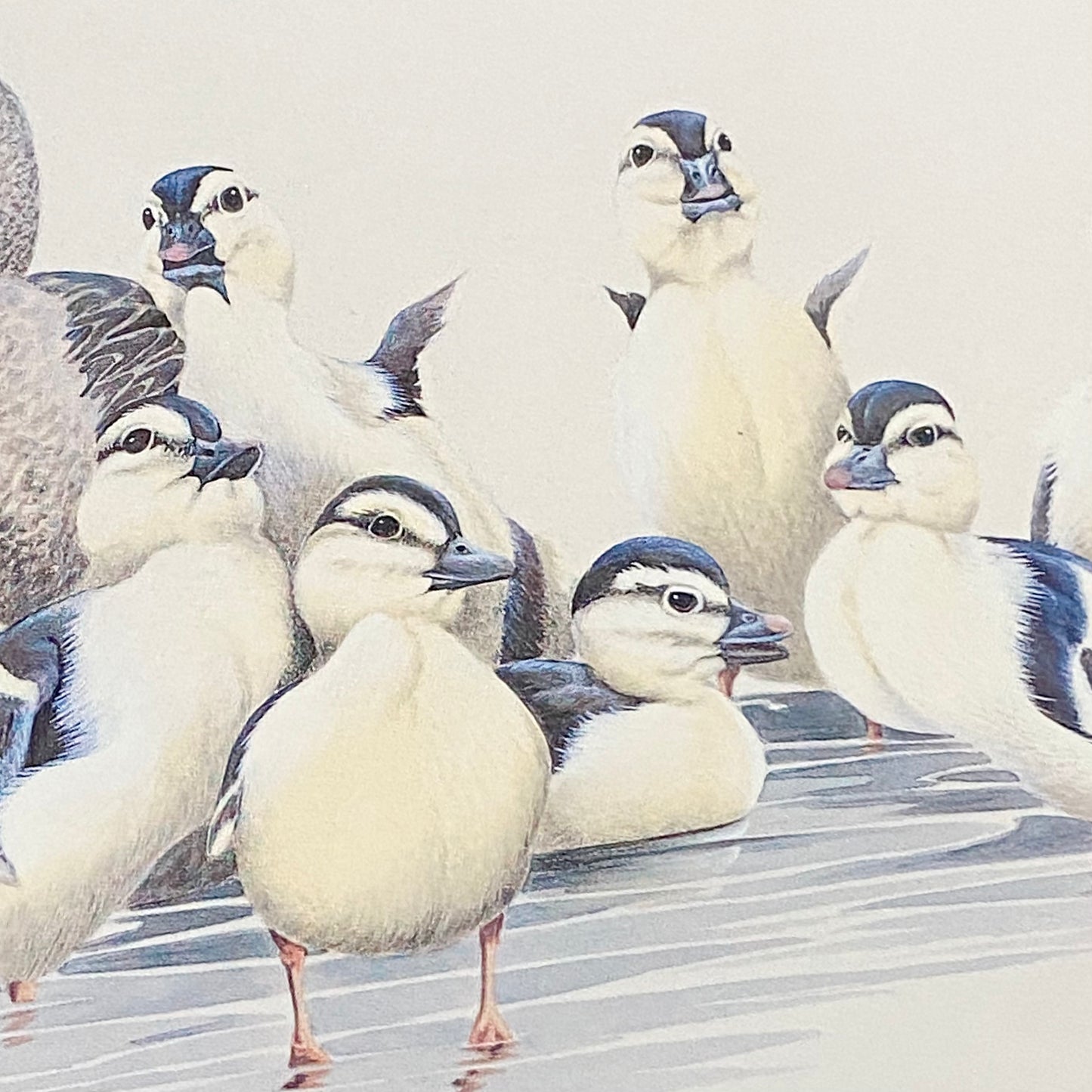 Vintage The Kids Duck Ducks Litho Print Plate Signed Art LaMay Framed & Glazed