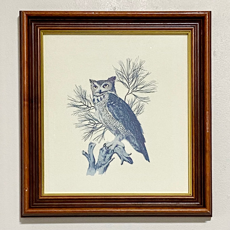 Vintage Great Horned Owl Predator Birds Of The Northern Forest Art Print Framed