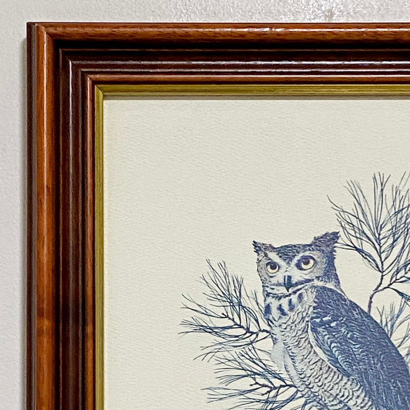 Vintage Great Horned Owl Predator Birds Of The Northern Forest Art Print Framed