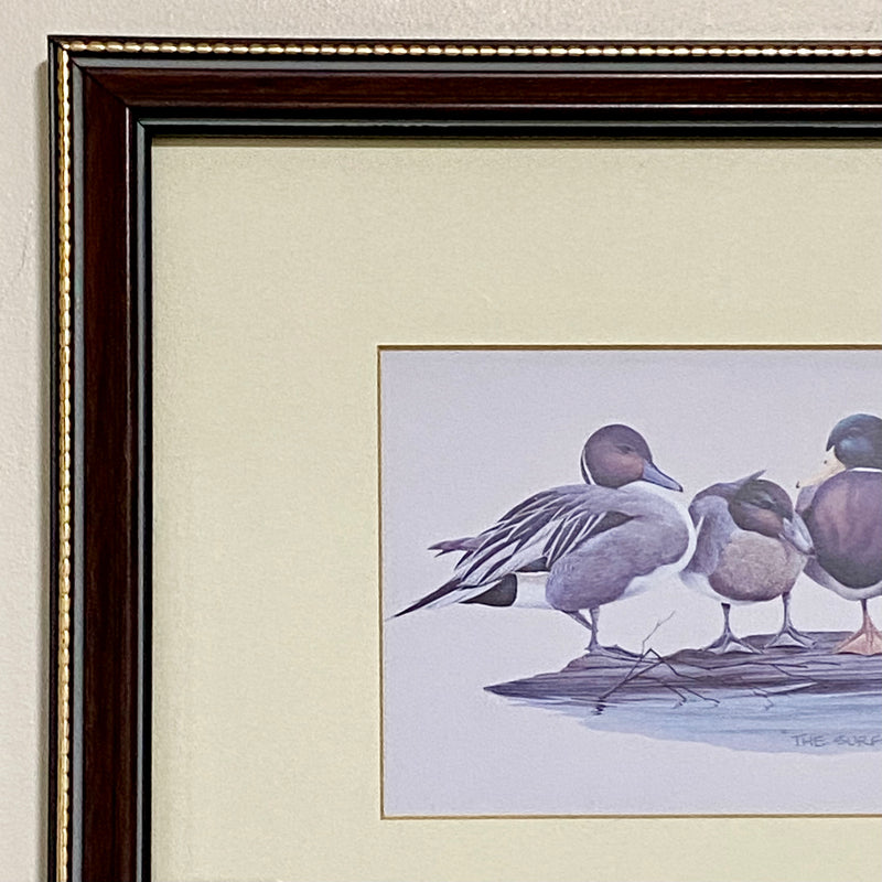 Vintage The Surfers Duck Ducks Art Print Plate Signed Art LaMay Framed & Glazed