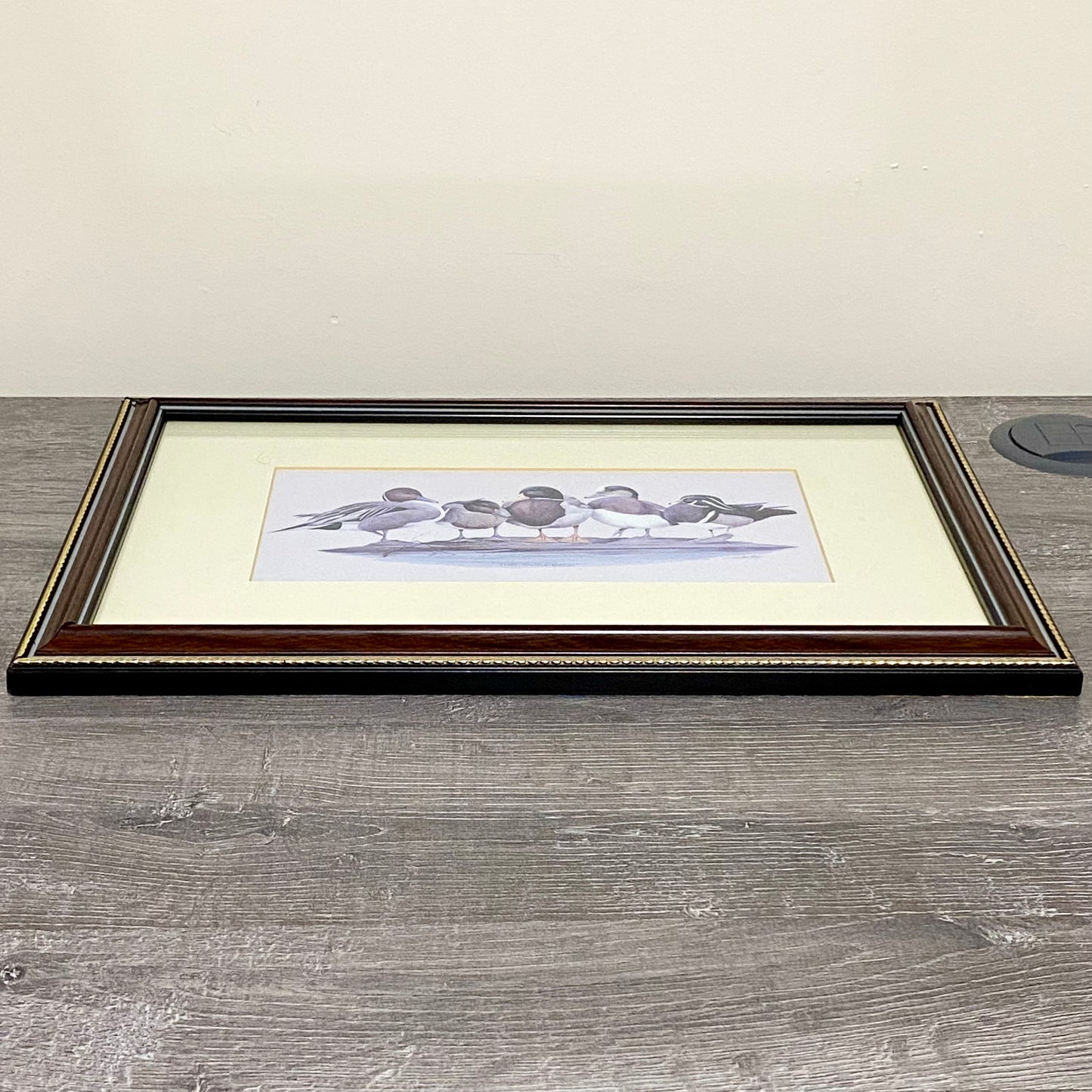 Vintage The Surfers Duck Ducks Art Print Plate Signed Art LaMay Framed & Glazed