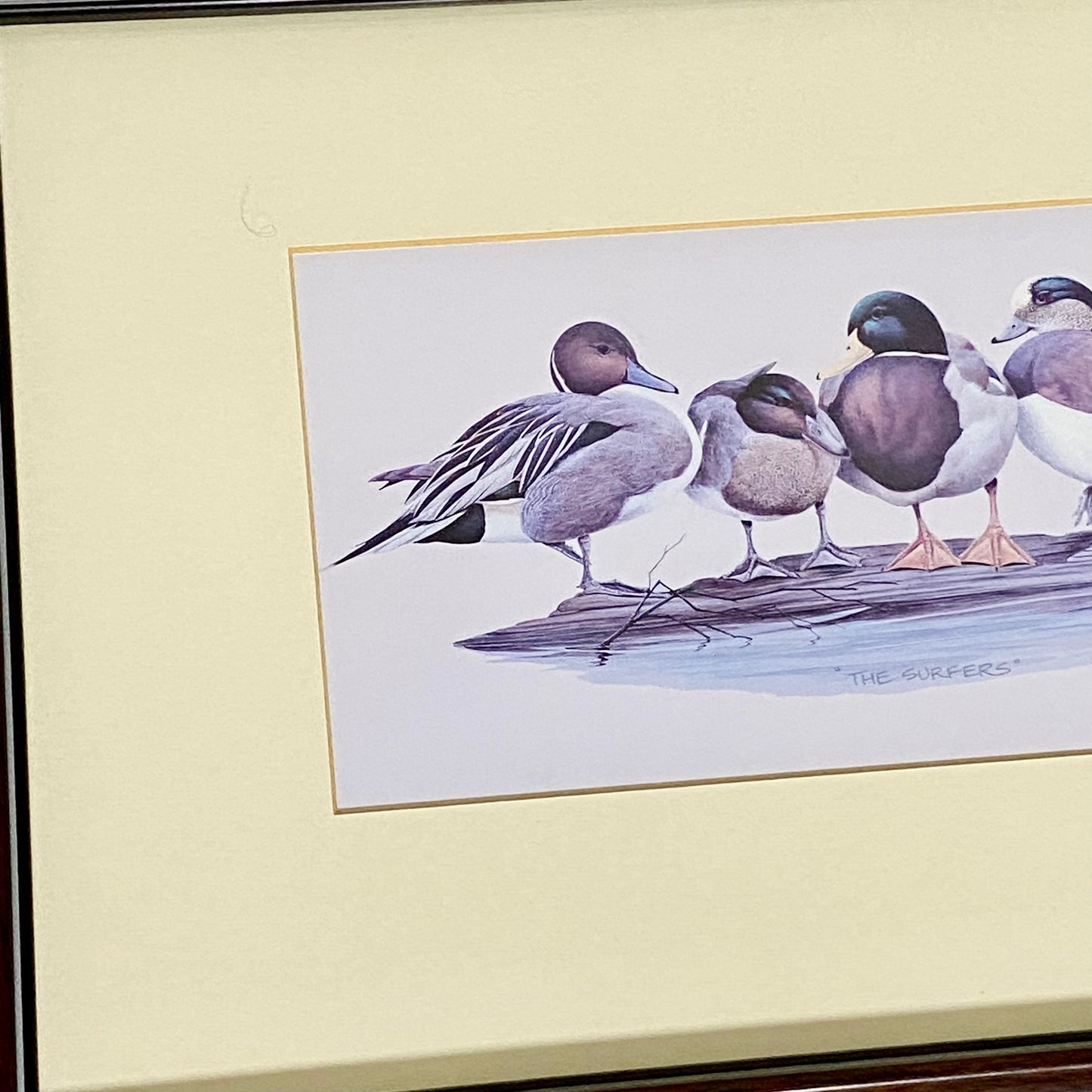 Vintage The Surfers Duck Ducks Art Print Plate Signed Art LaMay Framed & Glazed