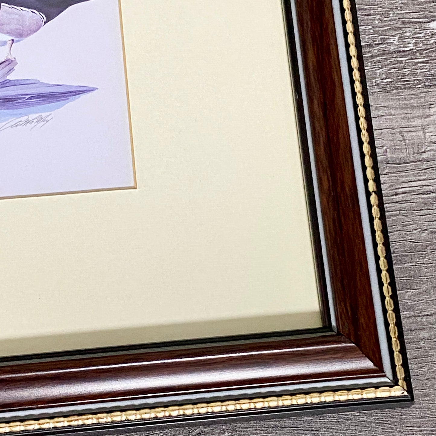 Vintage The Surfers Duck Ducks Art Print Plate Signed Art LaMay Framed & Glazed