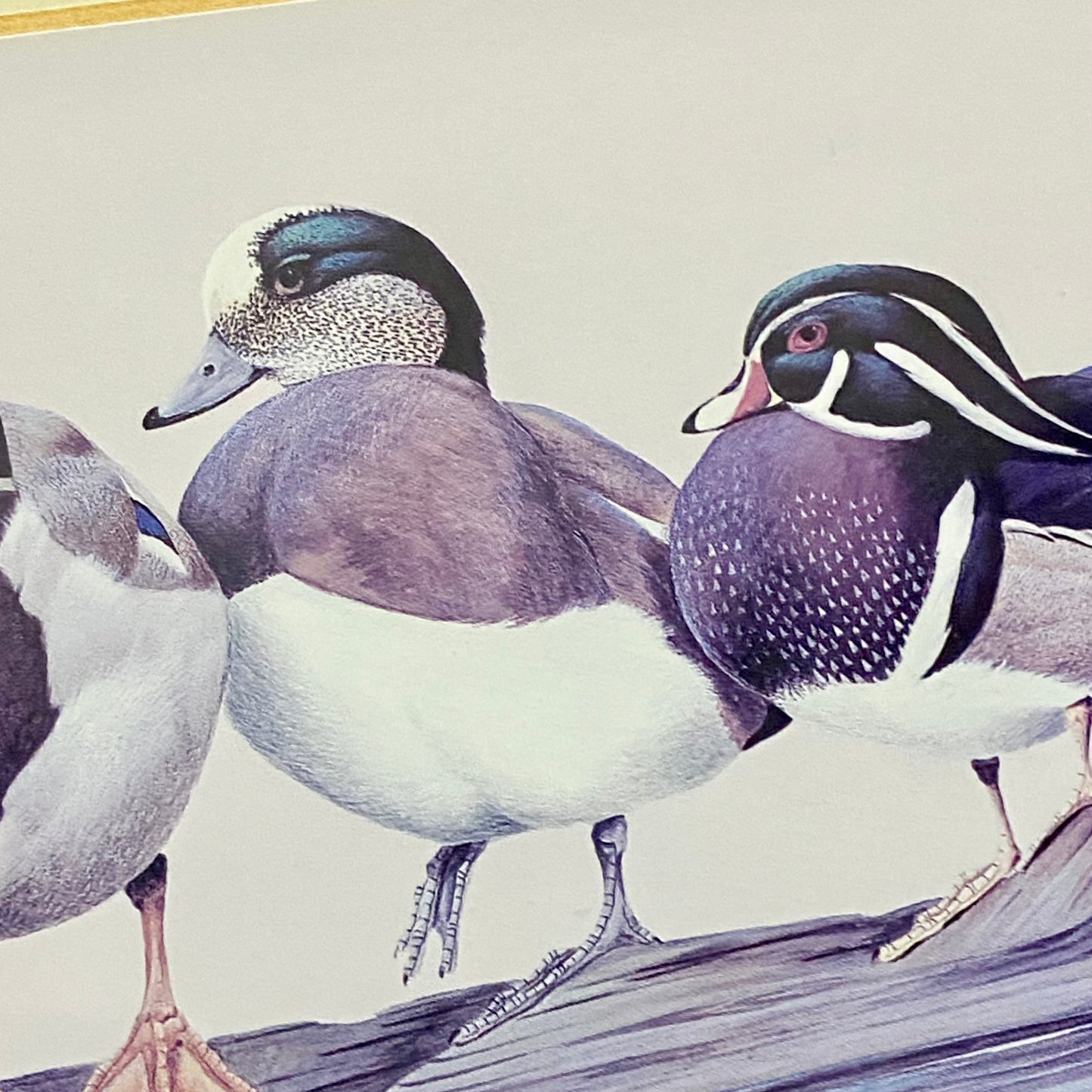 Vintage The Surfers Duck Ducks Art Print Plate Signed Art LaMay Framed & Glazed