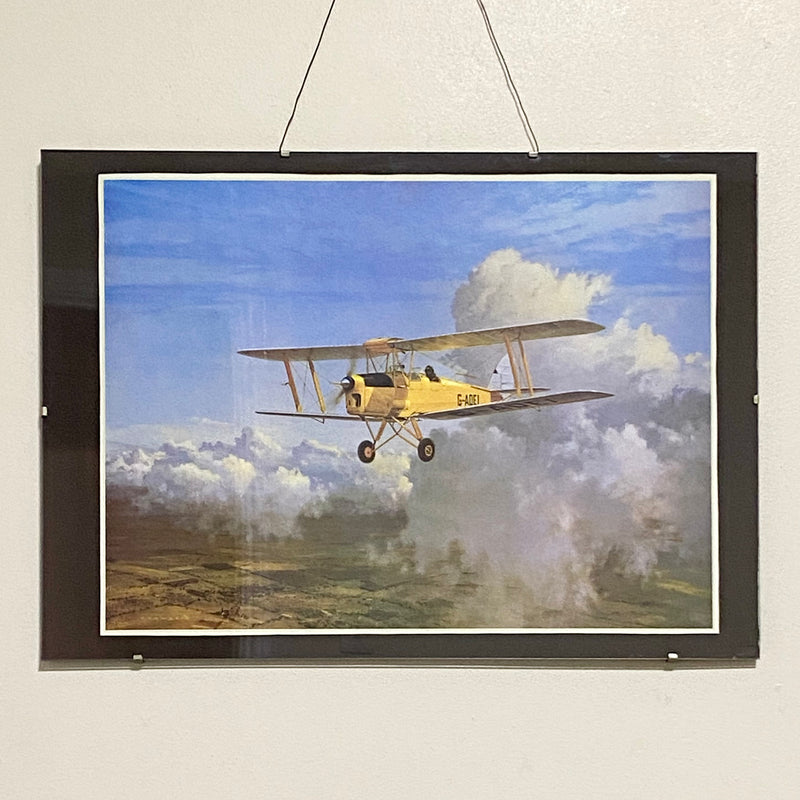 Vintage Sunday Morning De Havilland Tiger Moth Plate Signed Gerald Coulson Print