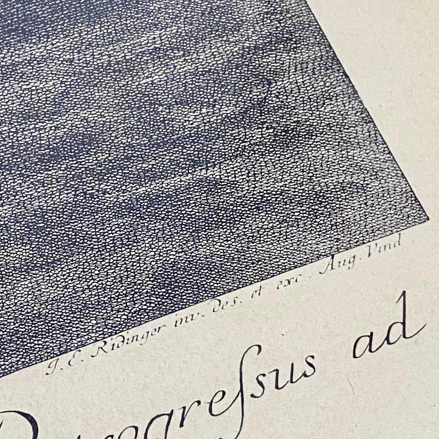 18th Century Reculer à la Muraille Copperplate Engraving Johann Elias Ridinger