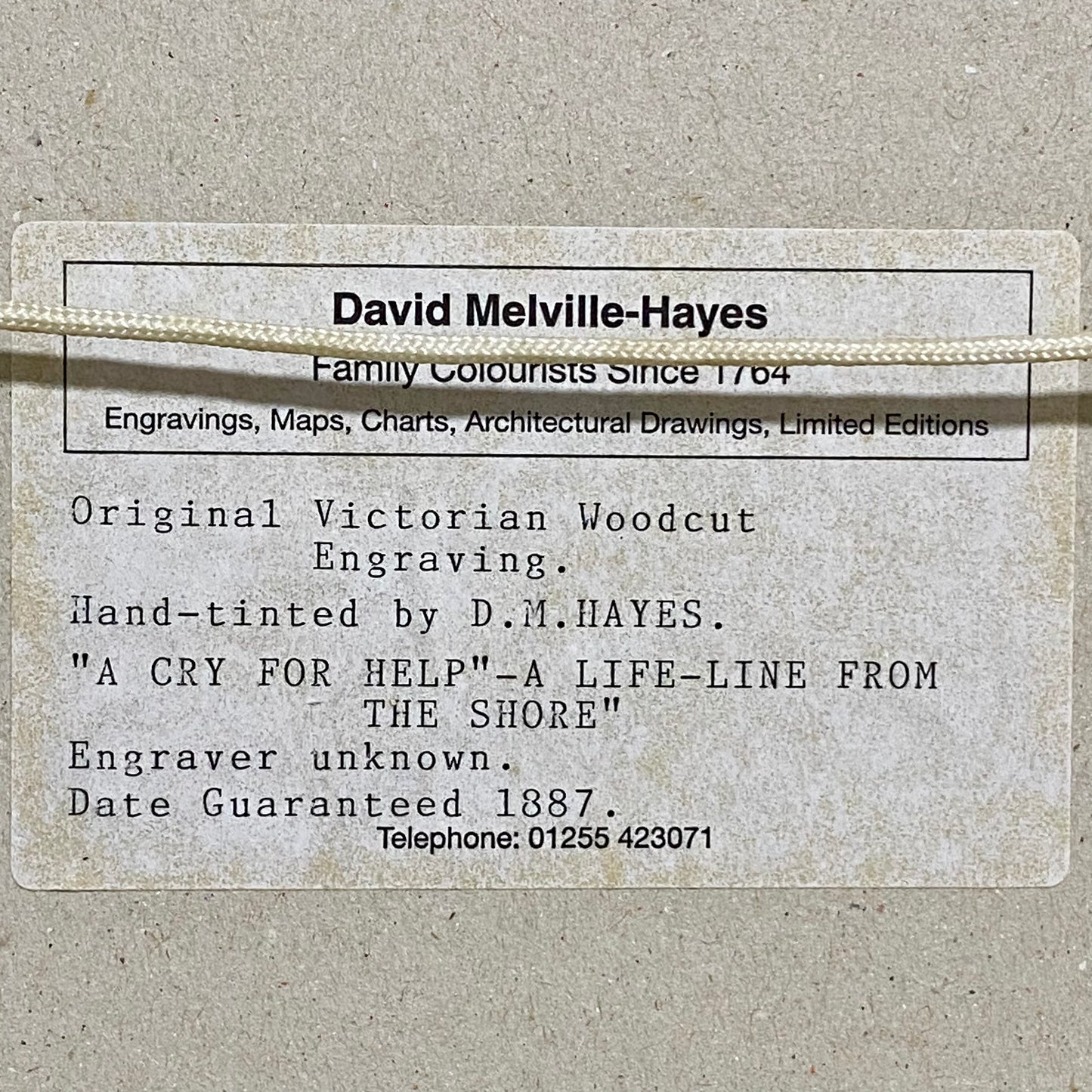 A Cry For Help The Life-Line From The Shore Engraving Illustration London 1887