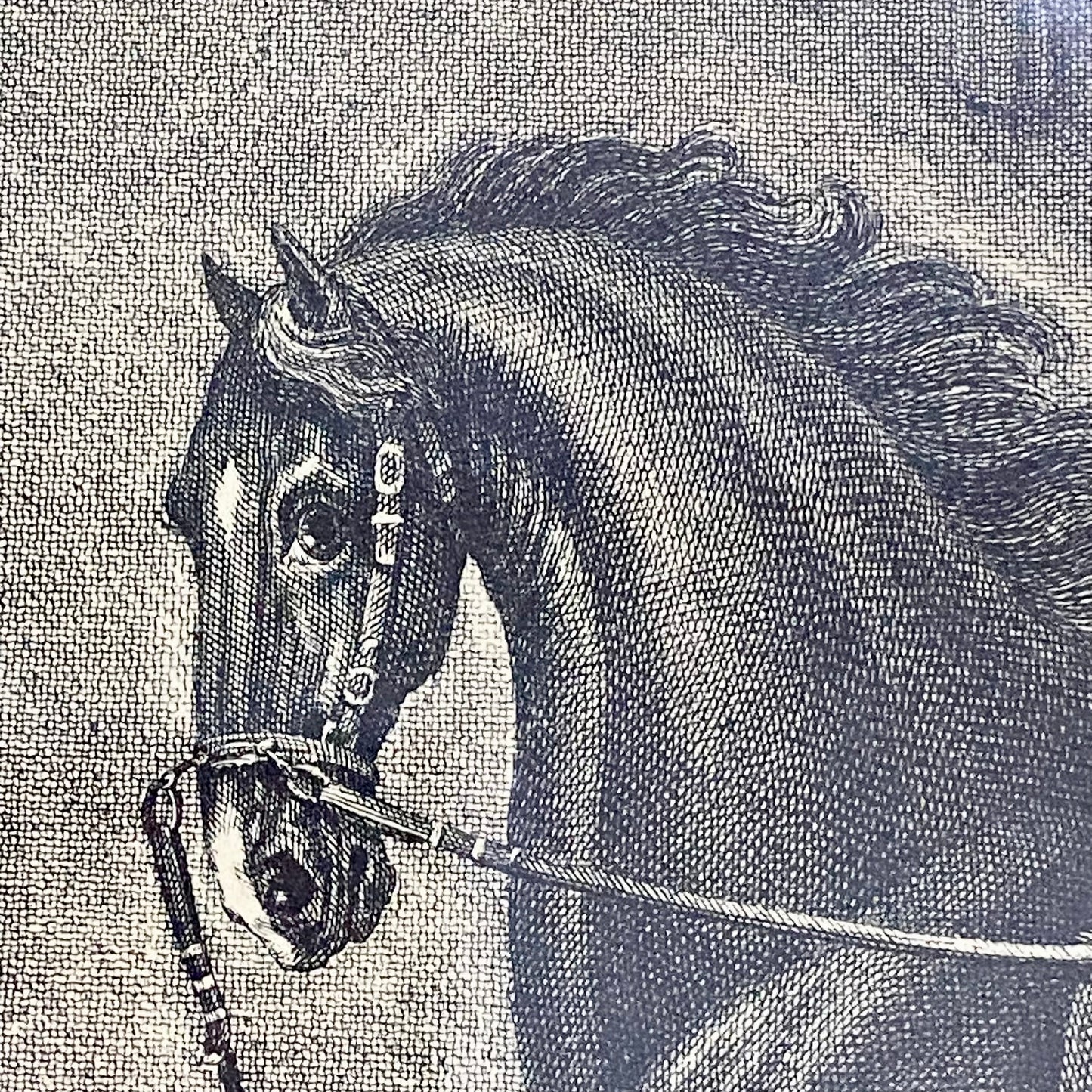 18th Century Le Trot à la Corde à Gauche Copperplate Engraving Johann Ridinger