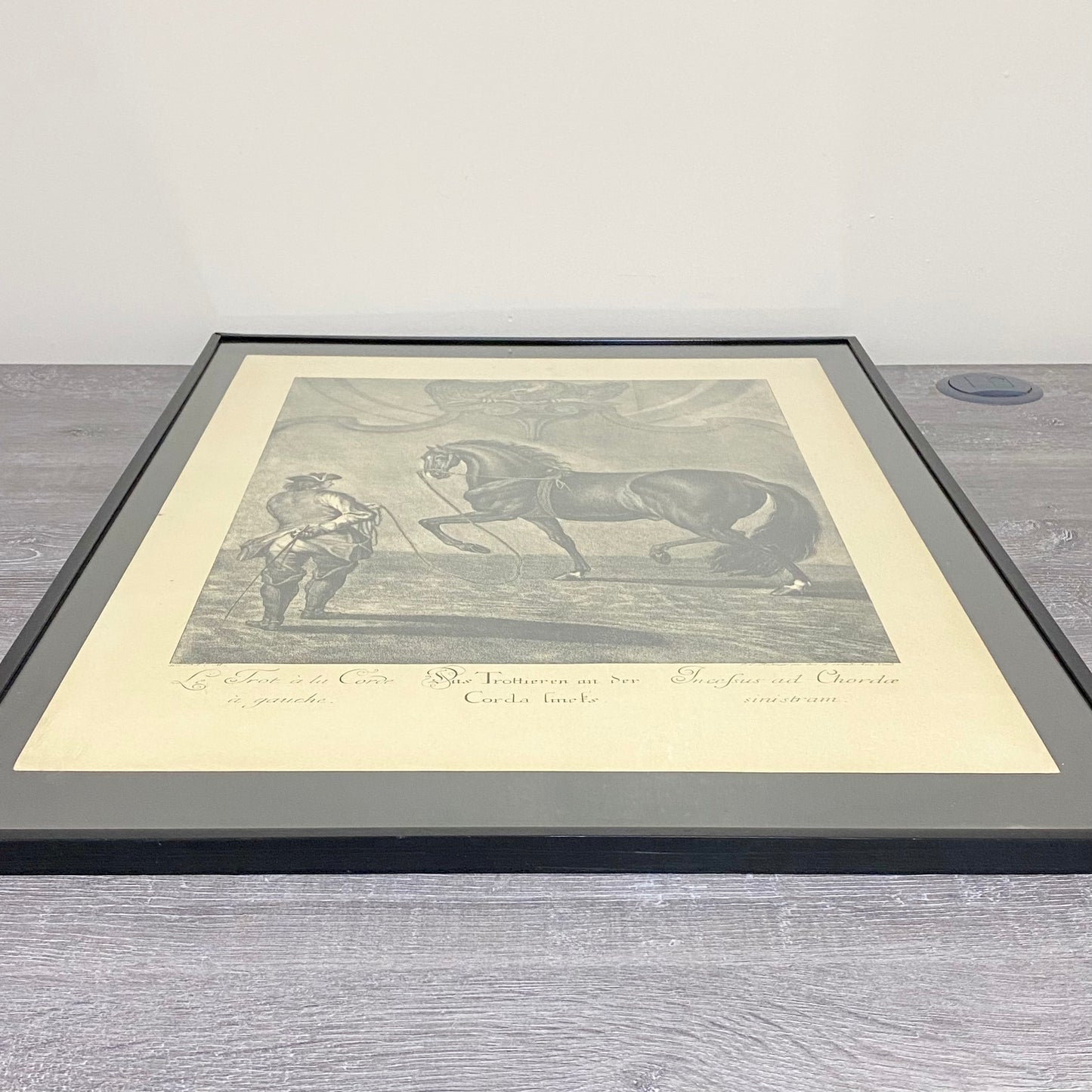 18th Century Le Trot à la Corde à Gauche Copperplate Engraving Johann Ridinger