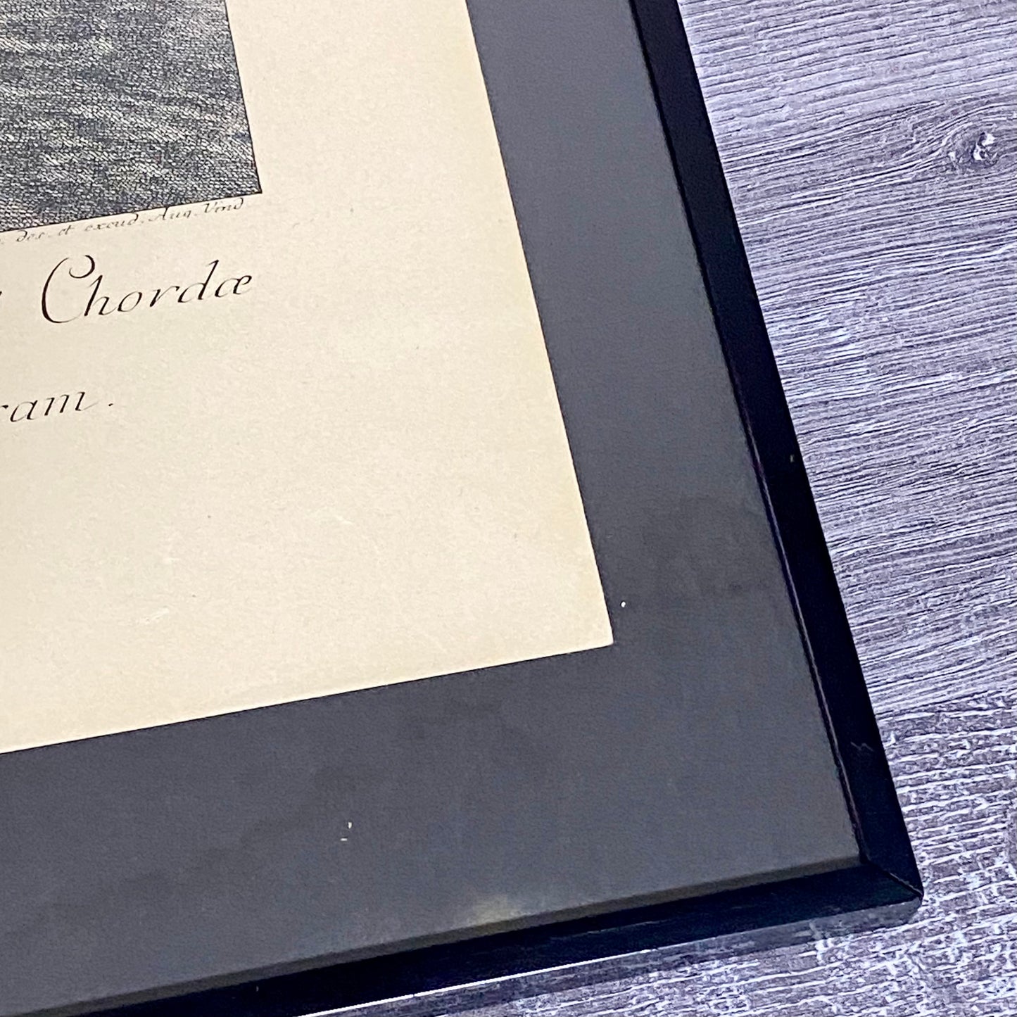 18th Century Le Trot à la Corde à Gauche Copperplate Engraving Johann Ridinger