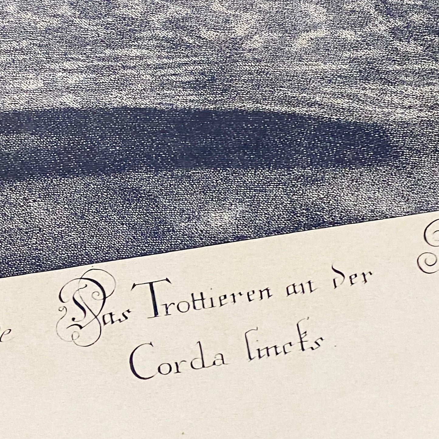 18th Century Le Trot à la Corde à Gauche Copperplate Engraving Johann Ridinger