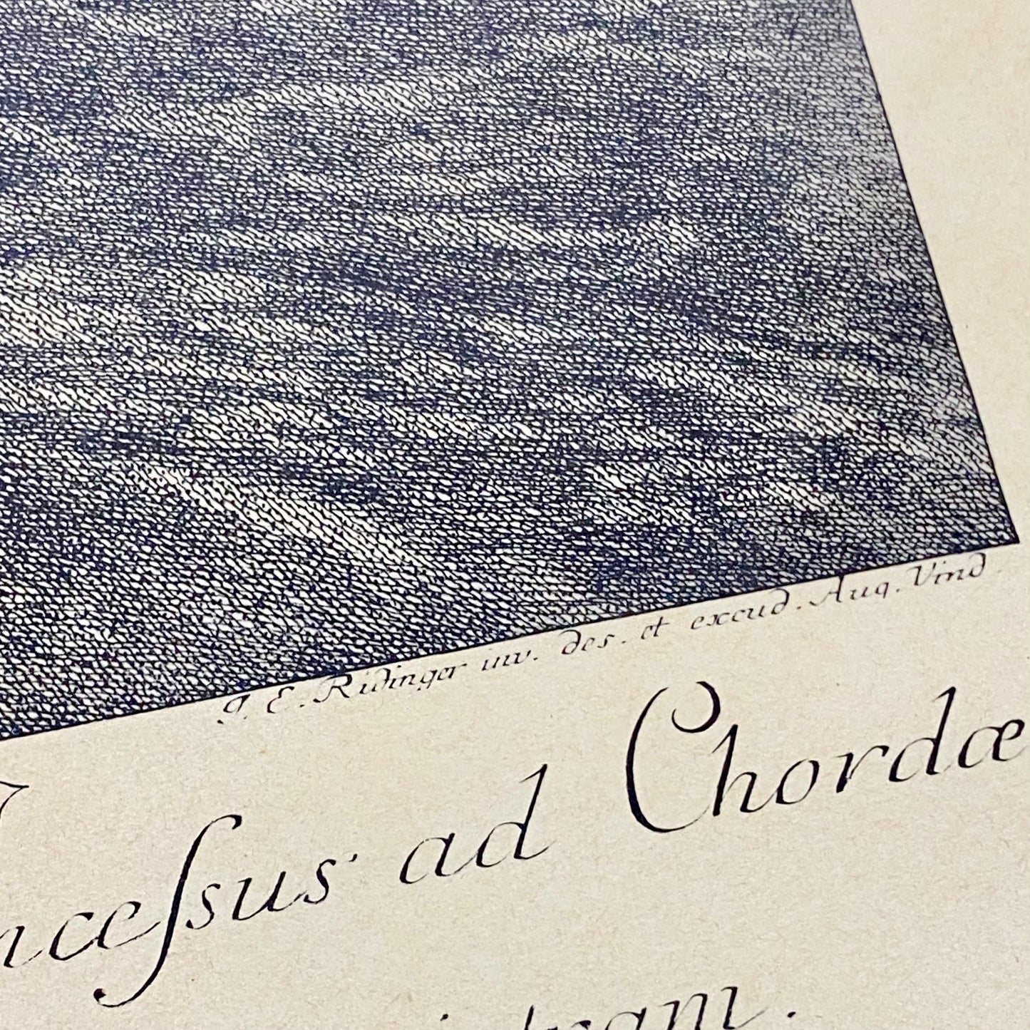 18th Century Le Trot à la Corde à Gauche Copperplate Engraving Johann Ridinger