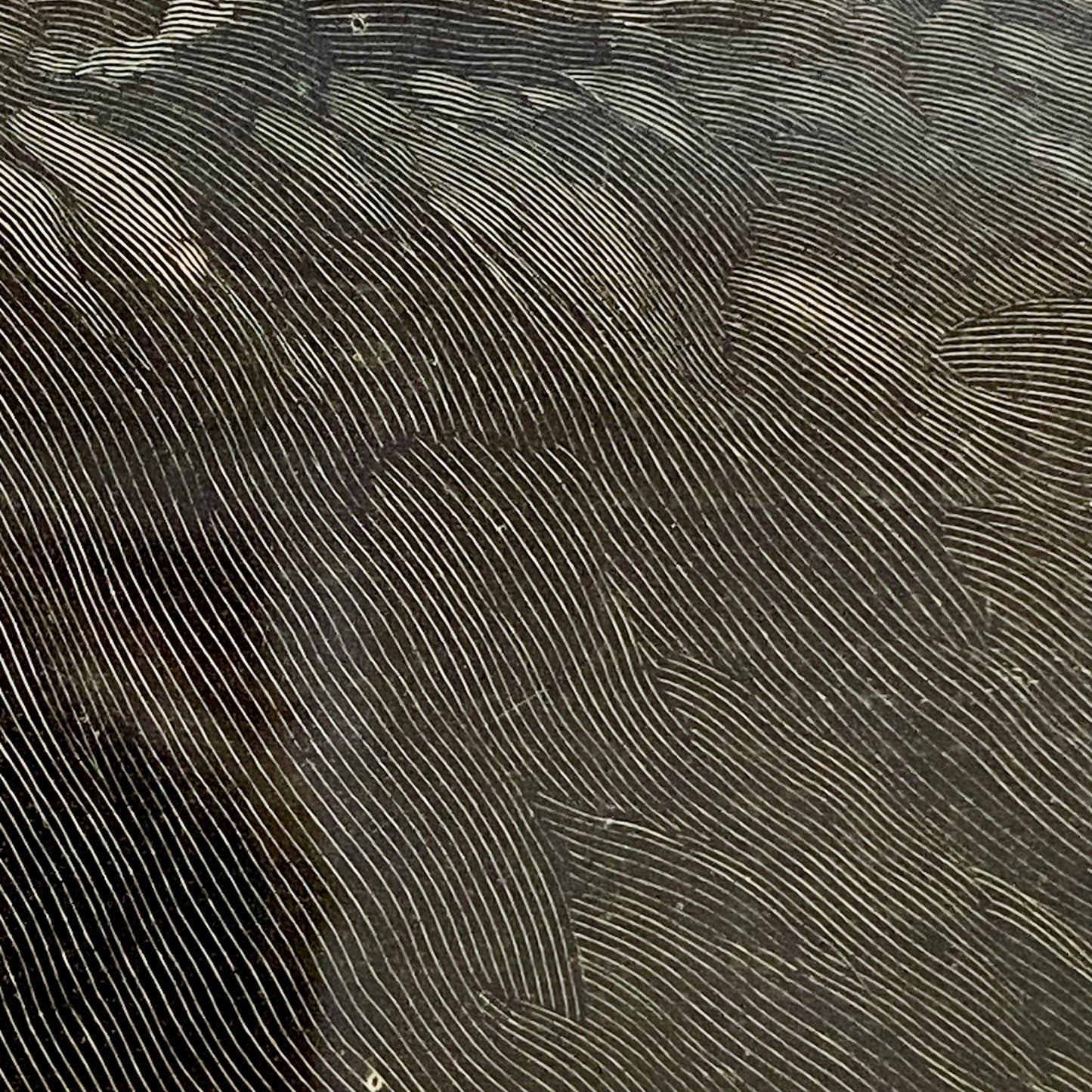 A Cry For Help The Life-Line From The Shore Engraving Illustration London 1887