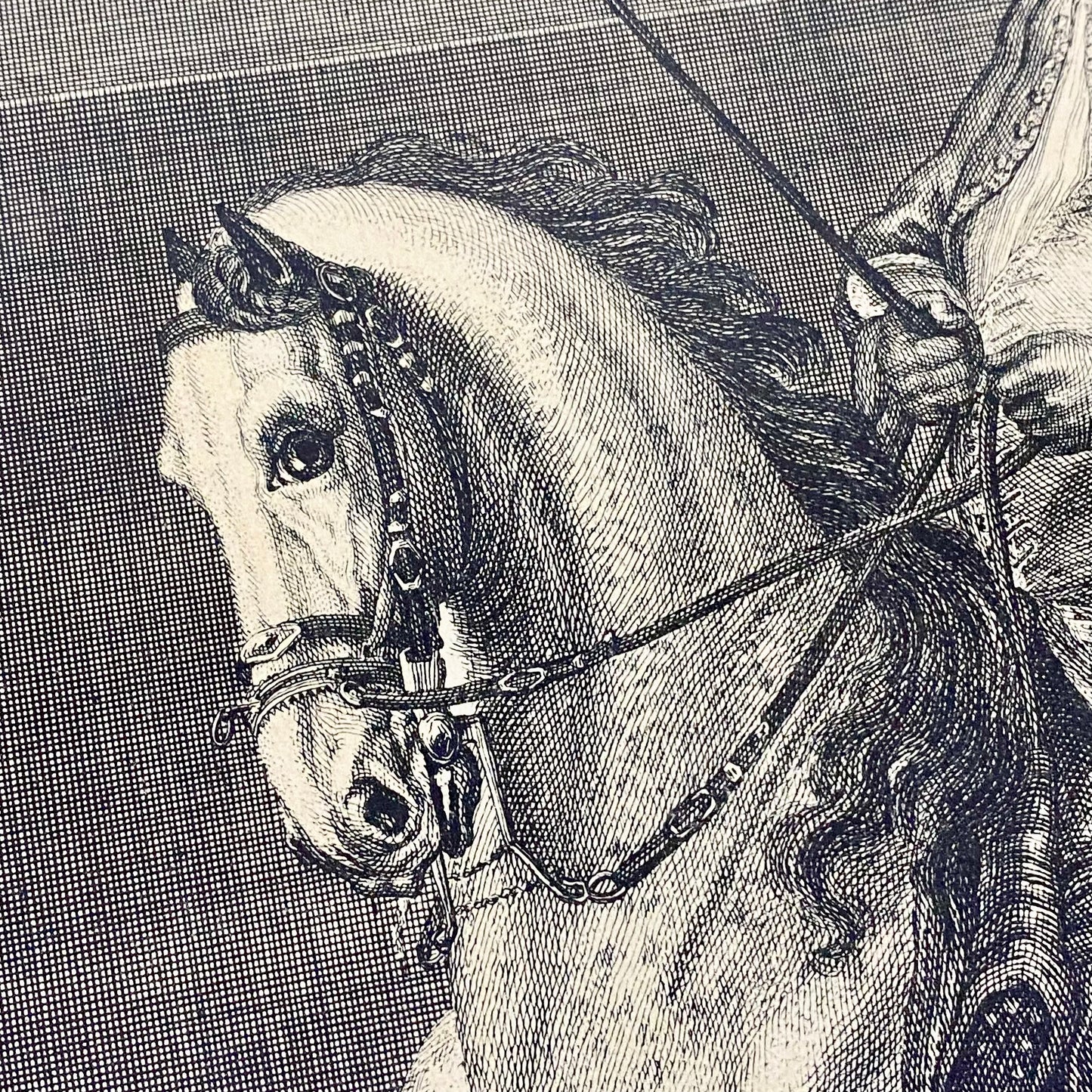 18th Century Reculer à la Muraille Copperplate Engraving Johann Elias Ridinger