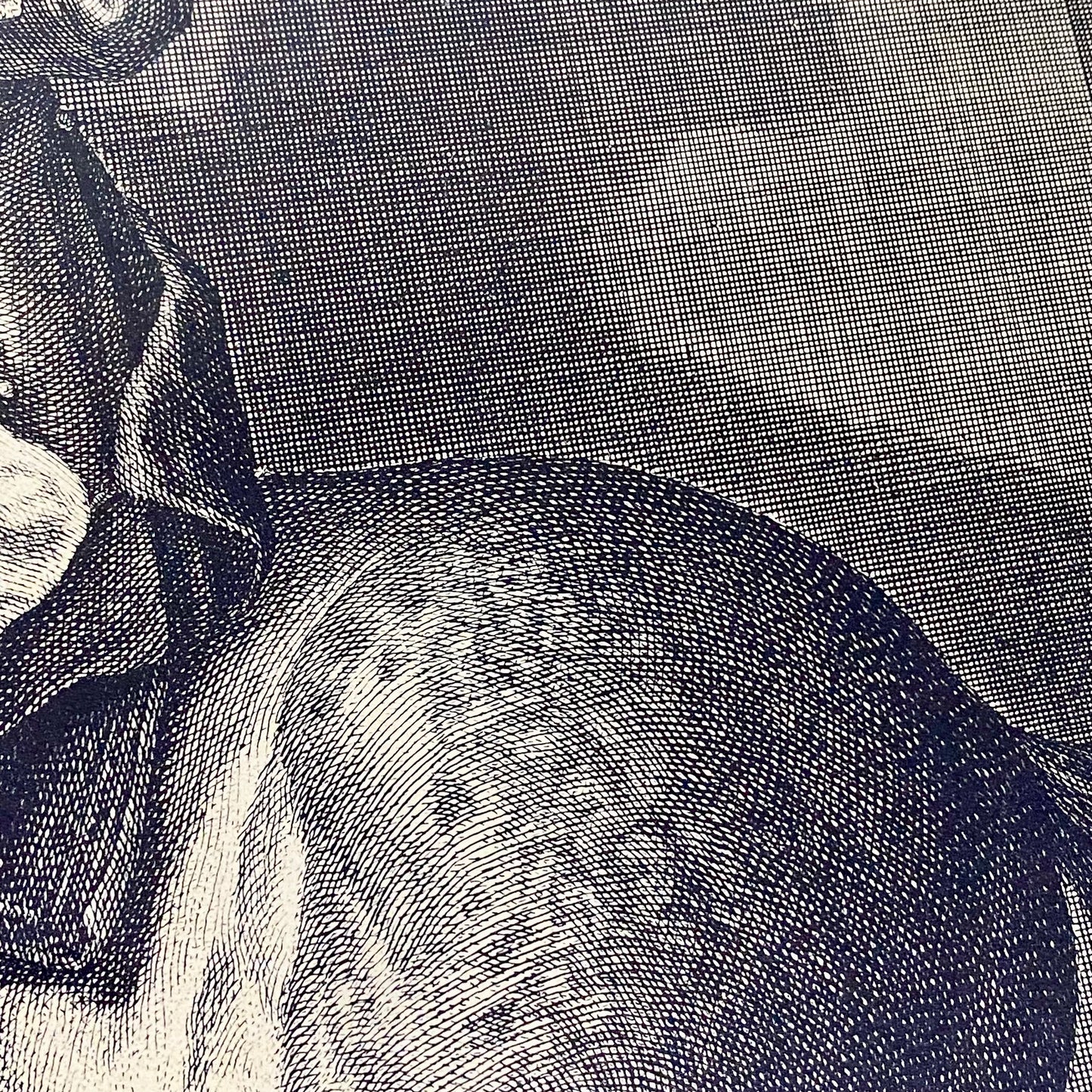 18th Century Reculer à la Muraille Copperplate Engraving Johann Elias Ridinger