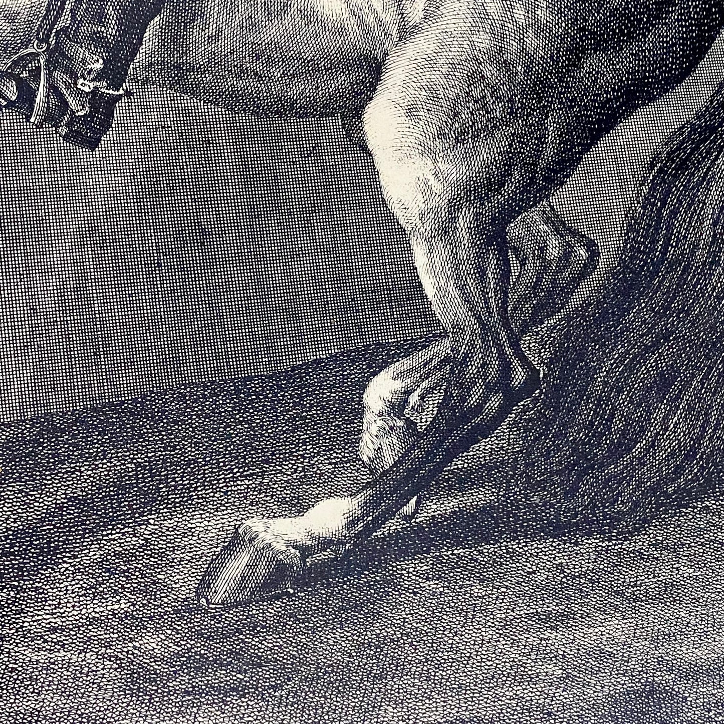 18th Century Reculer à la Muraille Copperplate Engraving Johann Elias Ridinger