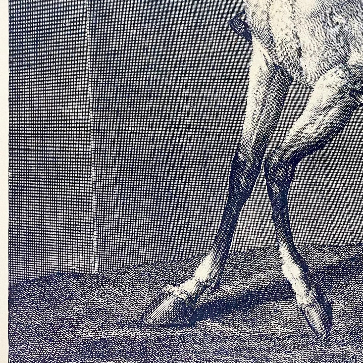 18th Century Reculer à la Muraille Copperplate Engraving Johann Elias Ridinger