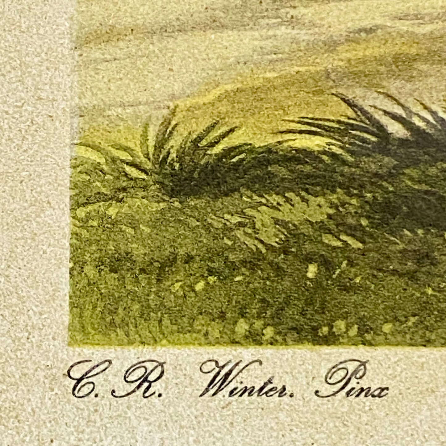 Antique The Oxford Drag No. 1 Etching By C. R. Winter 1848 Art Heavy Framed Rare