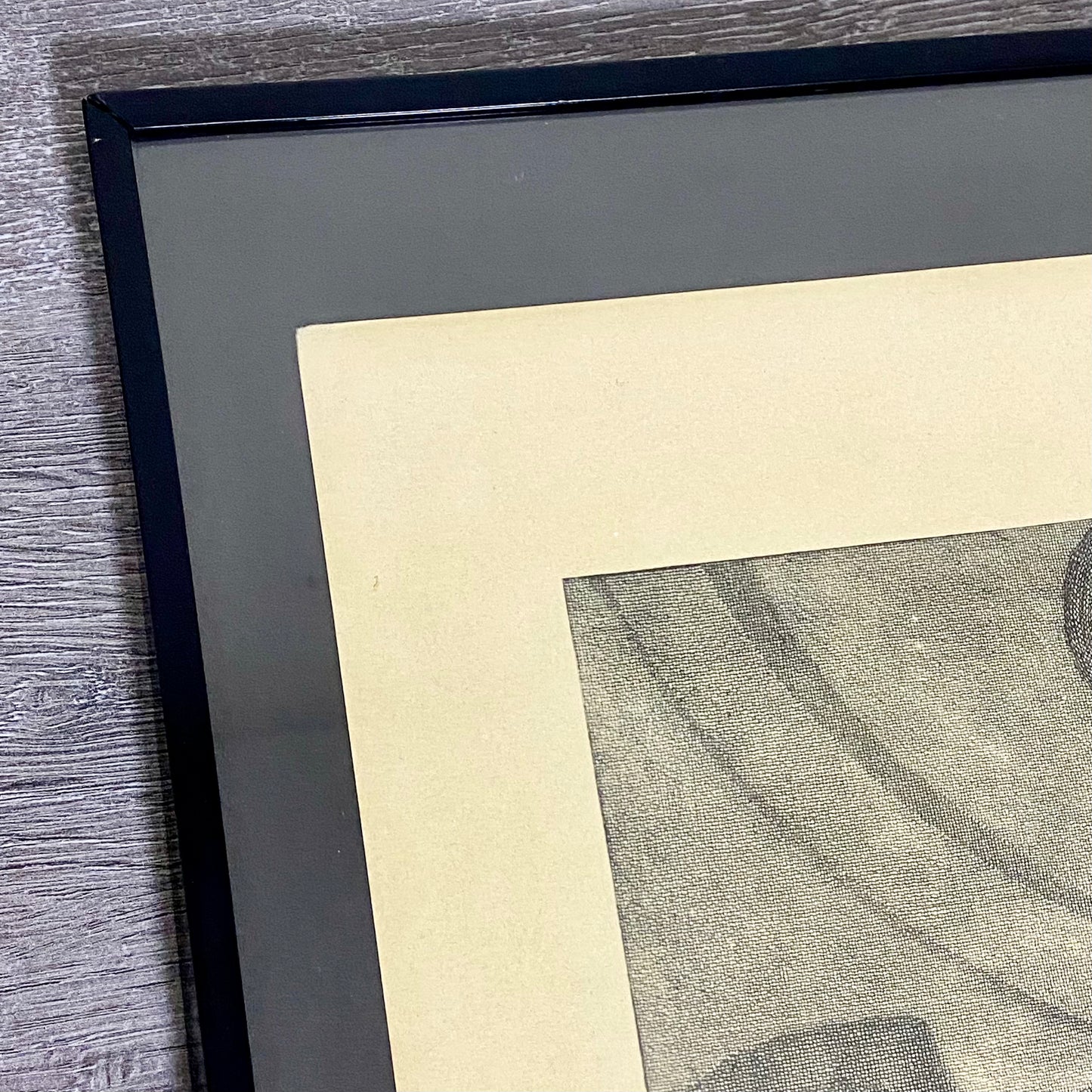 18th Century Le Trot à la Corde à Gauche Copperplate Engraving Johann Ridinger