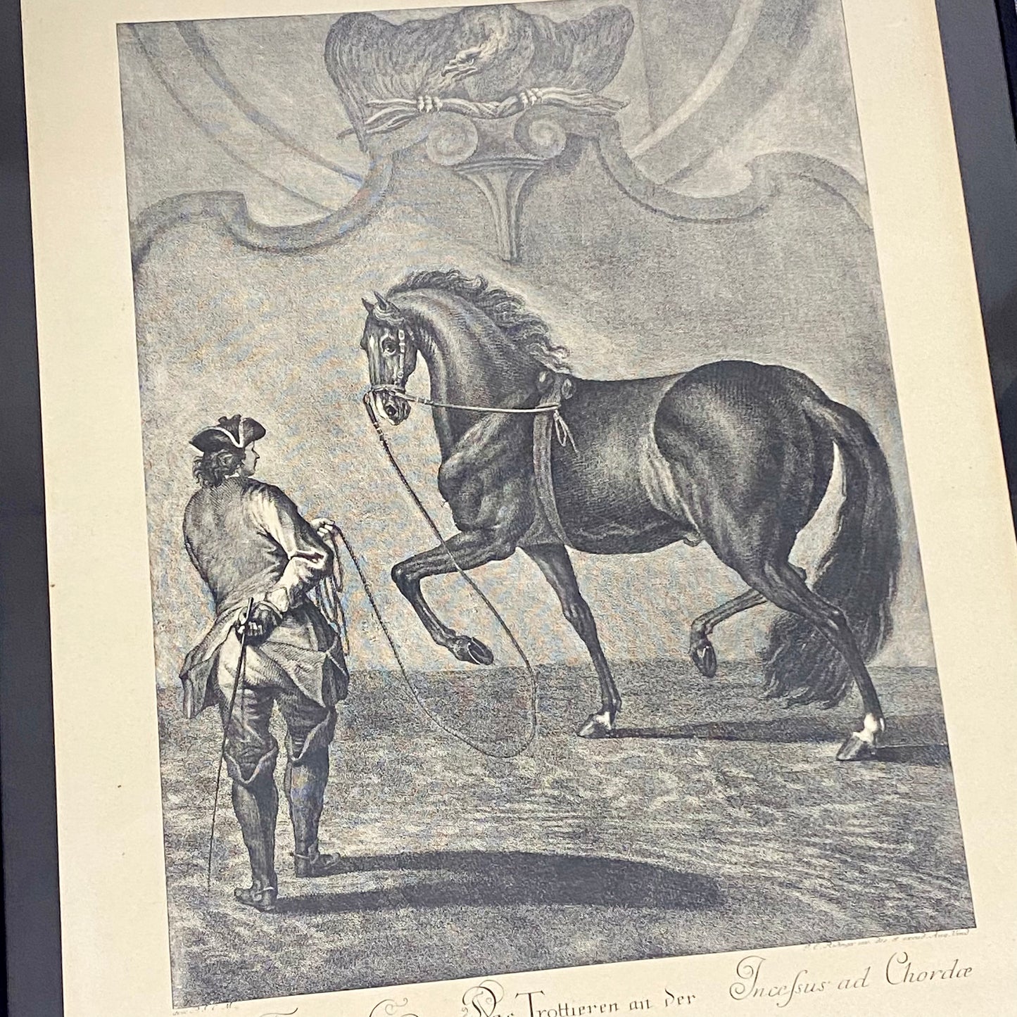 18th Century Le Trot à la Corde à Gauche Copperplate Engraving Johann Ridinger