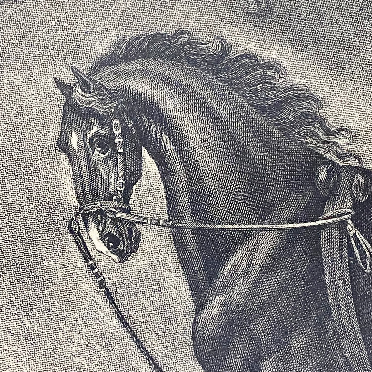 18th Century Le Trot à la Corde à Gauche Copperplate Engraving Johann Ridinger