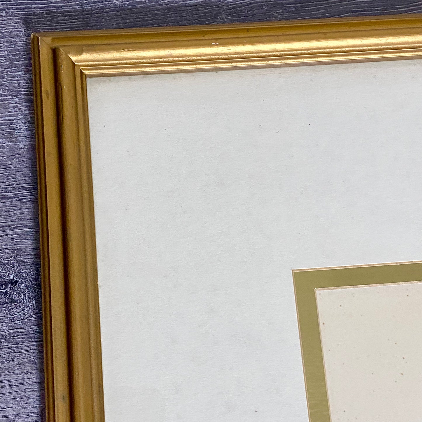 Vintage Camellia Reticulata Robert Fortune Botanical Floral Print Signed Framed