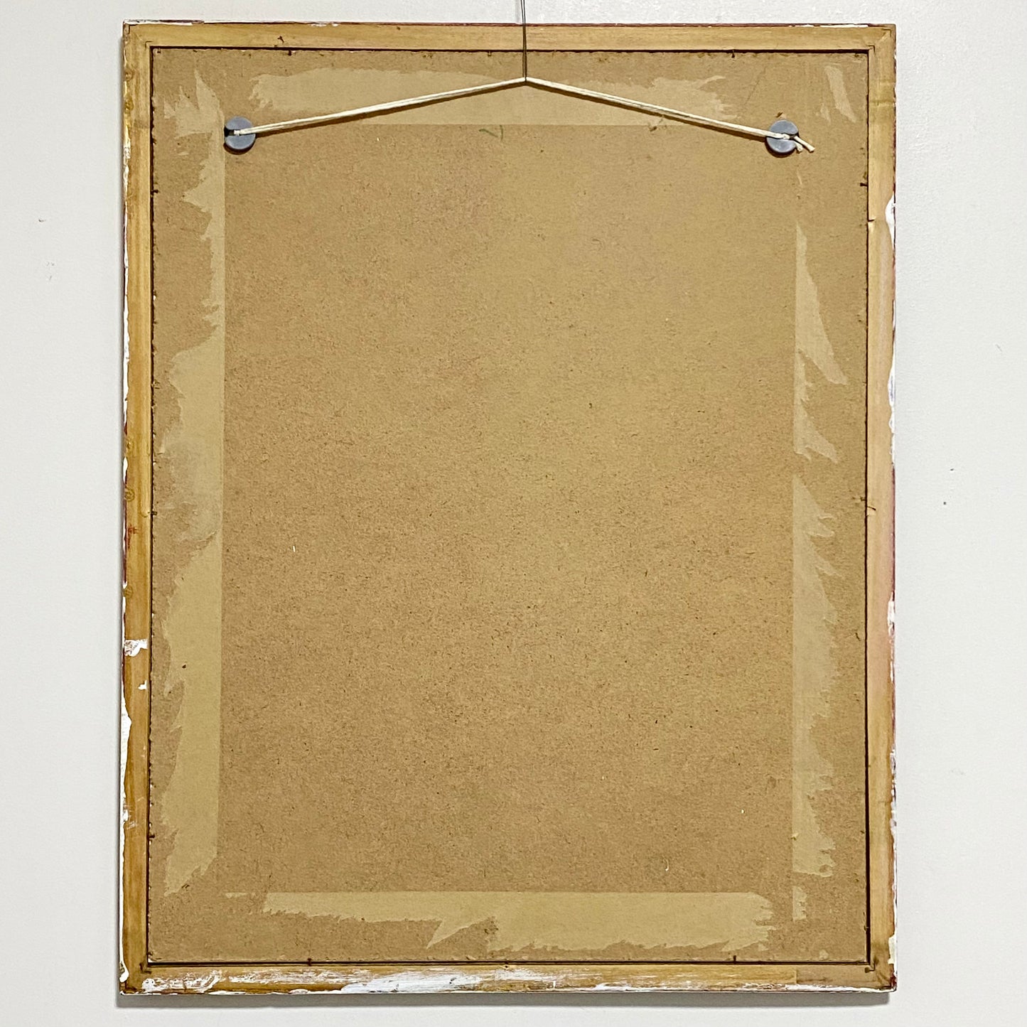 Vintage Camellia Reticulata Robert Fortune Botanical Floral Print Signed Framed