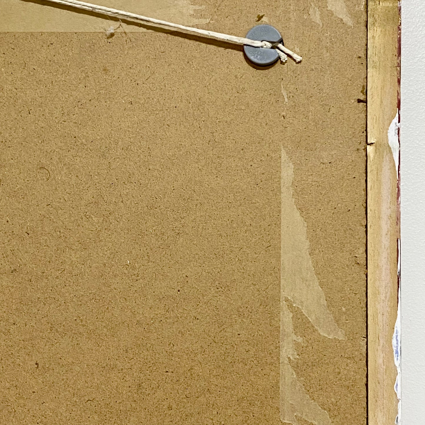 Vintage Camellia Reticulata Robert Fortune Botanical Floral Print Signed Framed