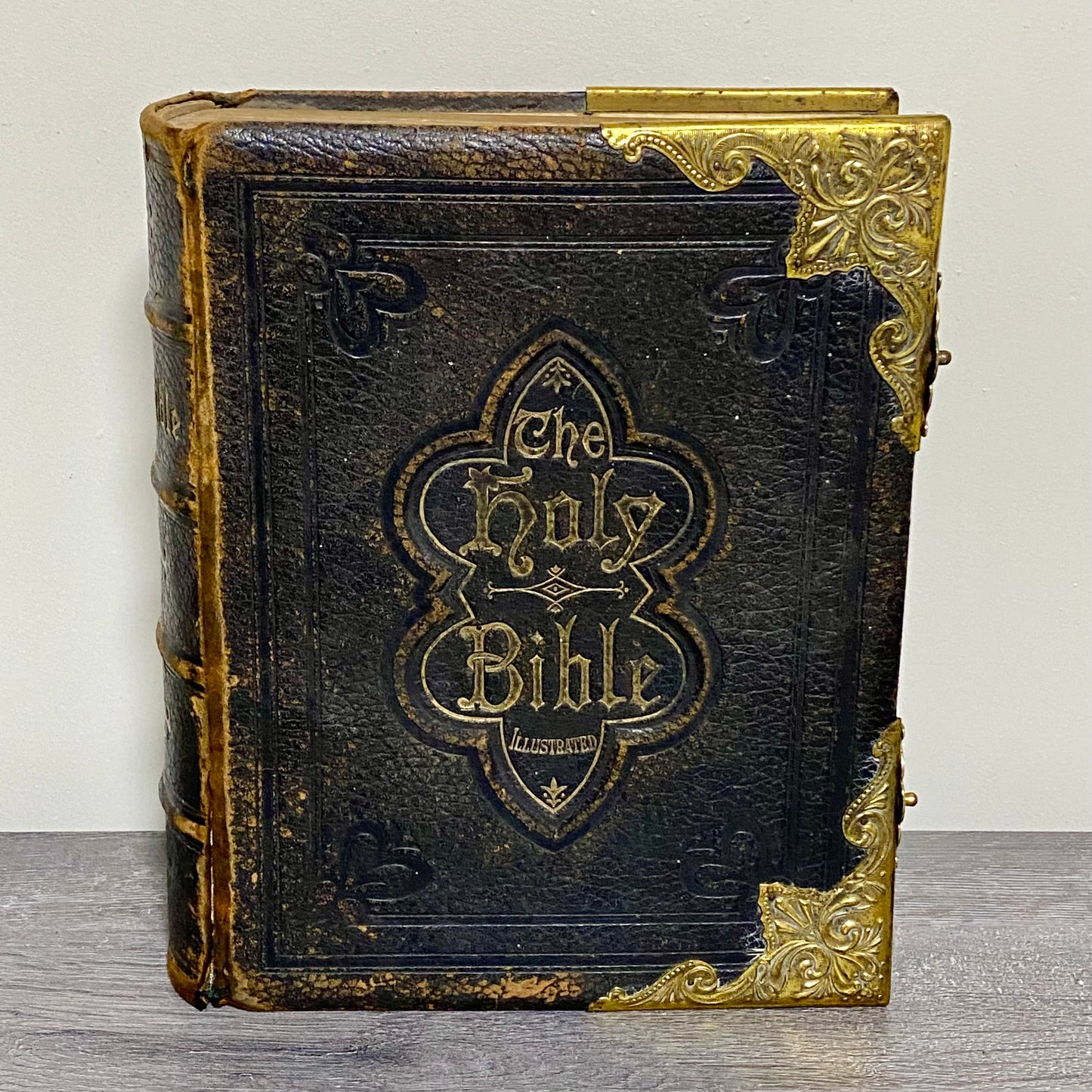 Antique Giant The Holy Bible Edited By Rev. John Eadie Illustrated Circa 1880s