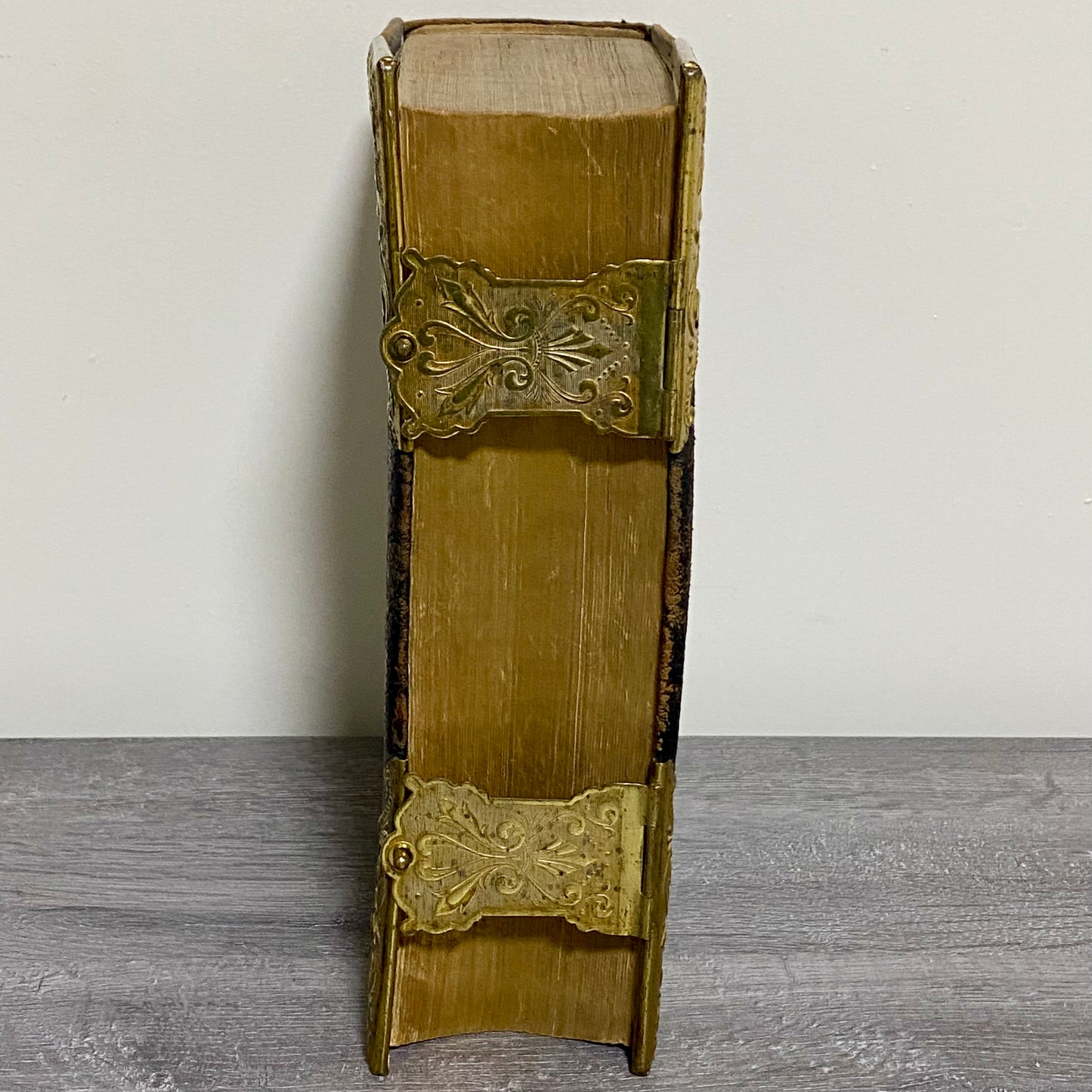 Antique Giant The Holy Bible Edited By Rev. John Eadie Illustrated Circa 1880s