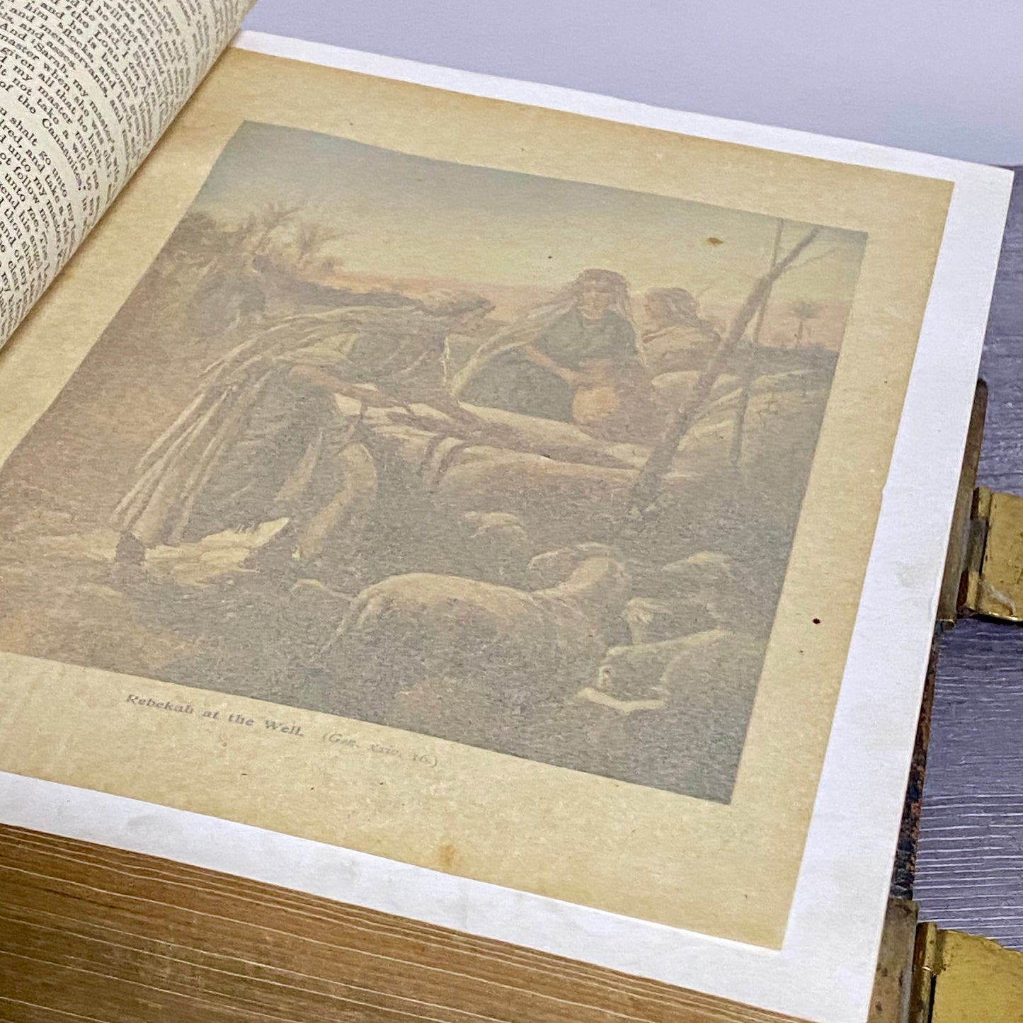 Antique Giant The Holy Bible Edited By Rev. John Eadie Illustrated Circa 1880s