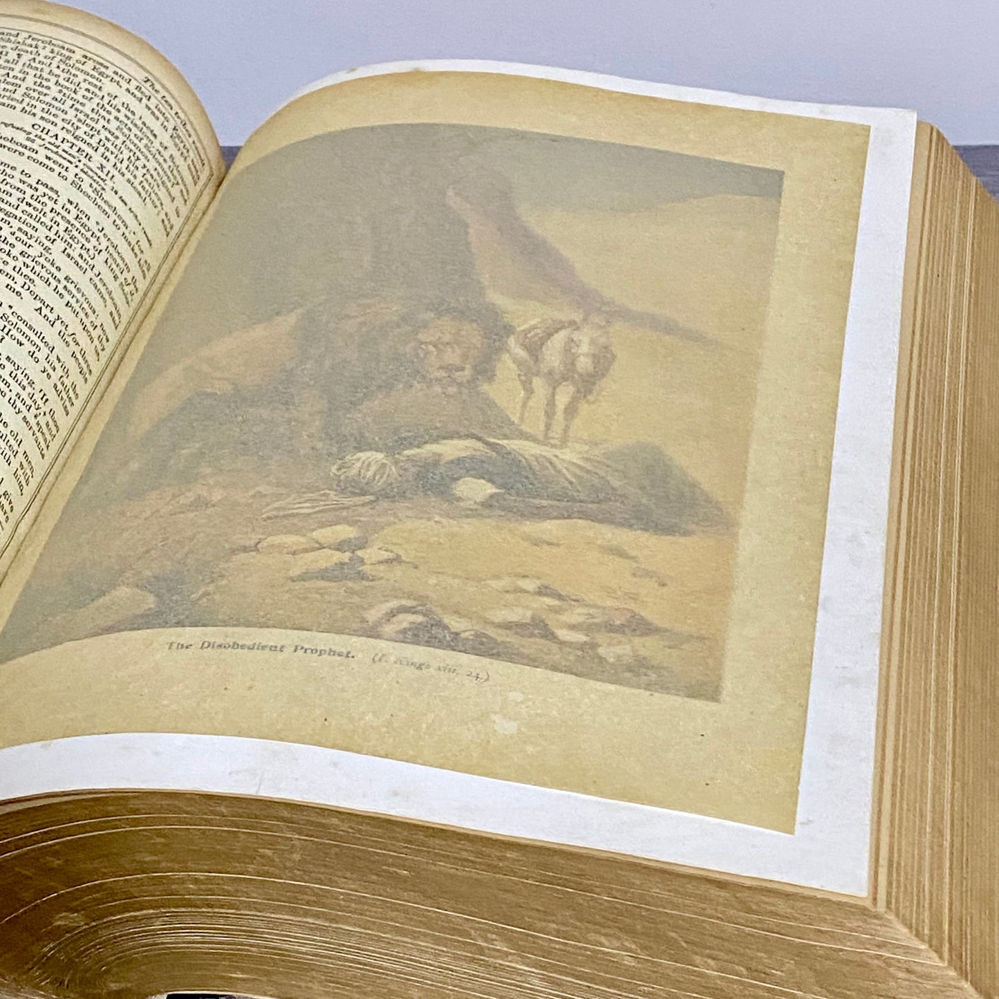 Antique Giant The Holy Bible Edited By Rev. John Eadie Illustrated Circa 1880s