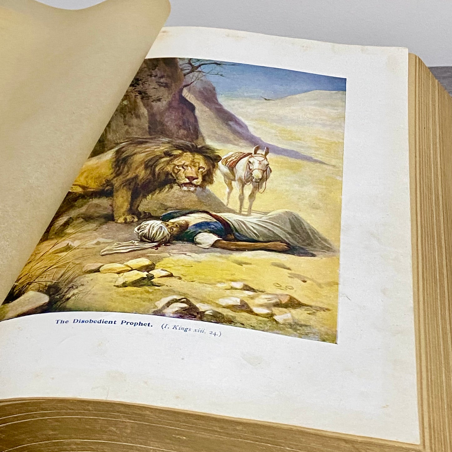 Antique Giant The Holy Bible Edited By Rev. John Eadie Illustrated Circa 1880s